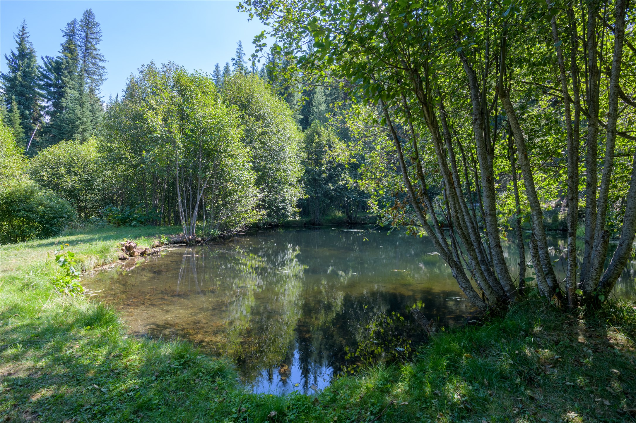 8160 W Fork Petty Creek Road Property Photo 47