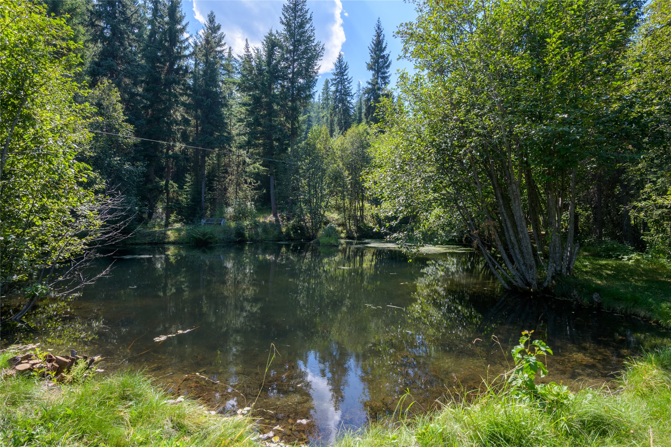 8160 W Fork Petty Creek Road Property Photo 48