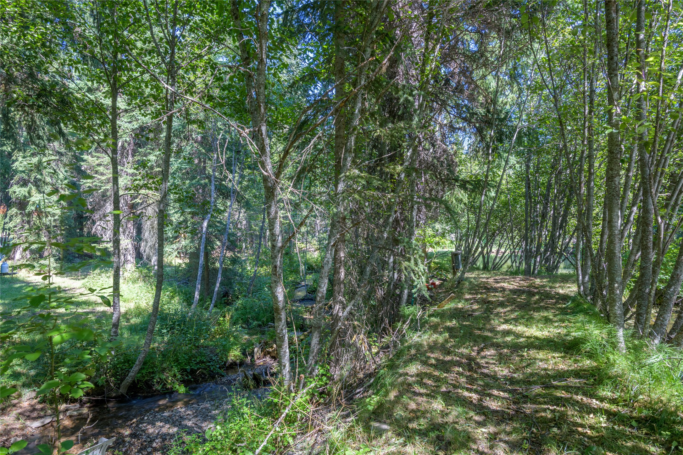 8160 W Fork Petty Creek Road Property Photo 51