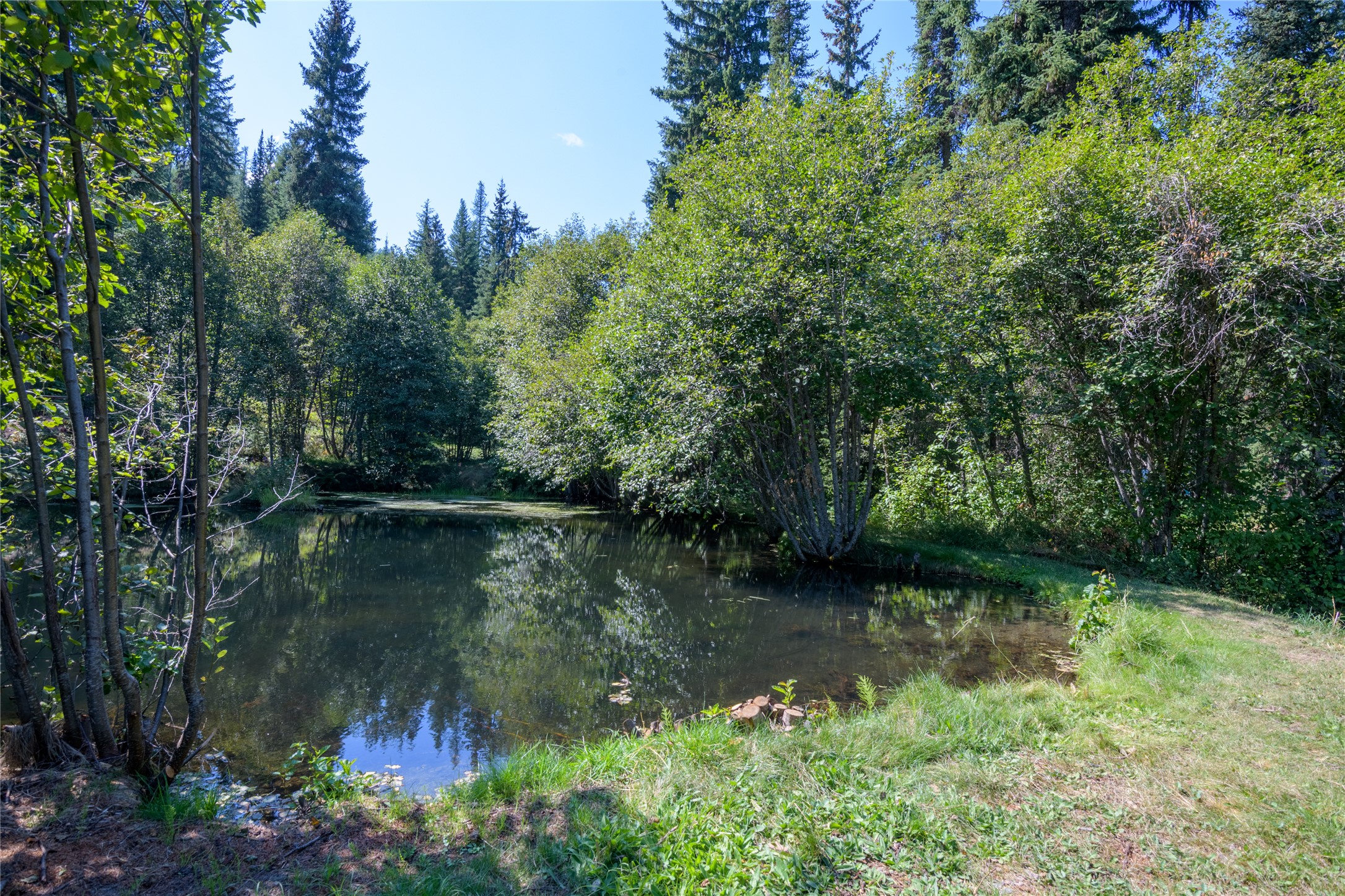 8160 W Fork Petty Creek Road Property Photo 52