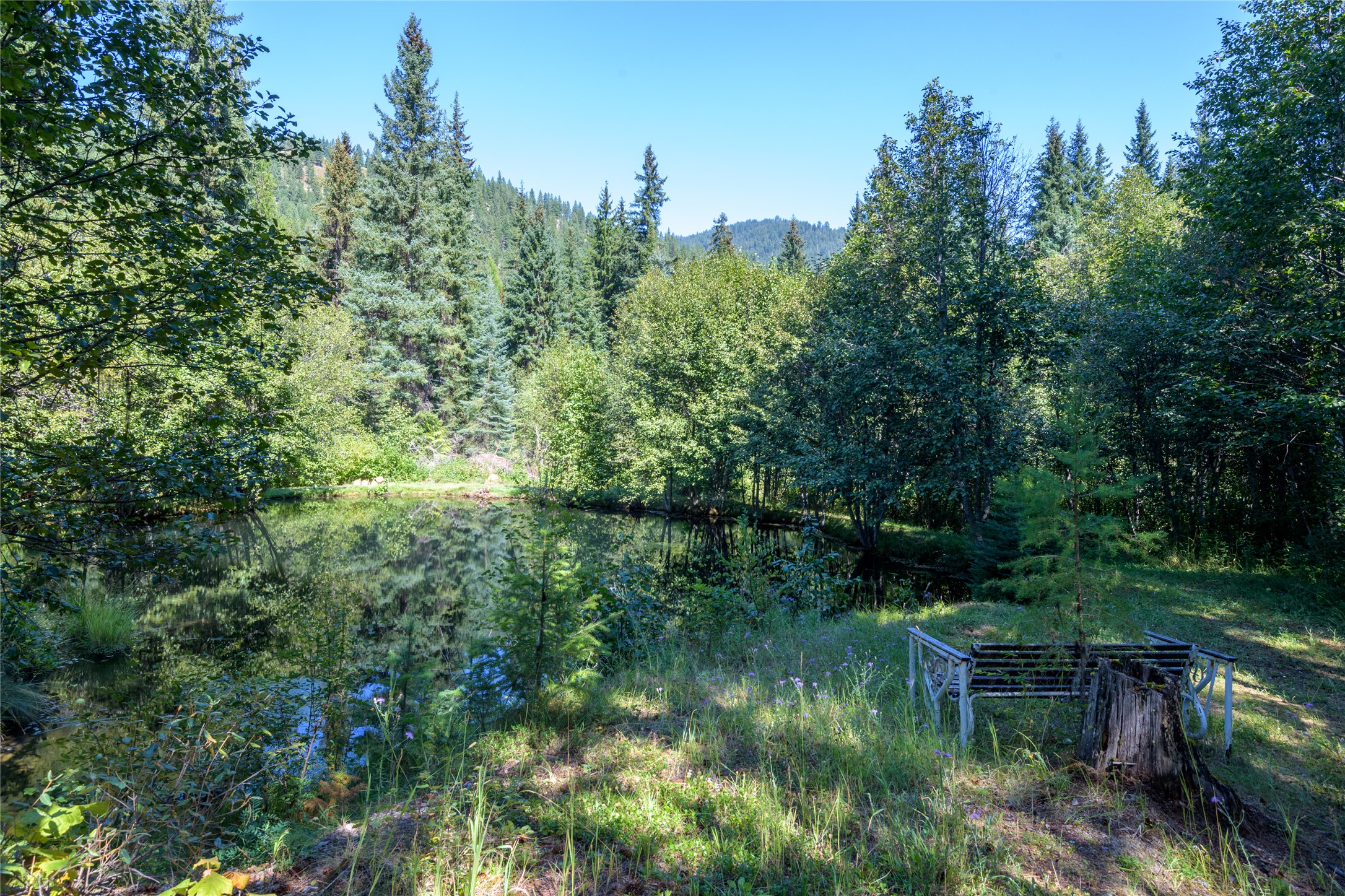 8160 W Fork Petty Creek Road Property Photo 54