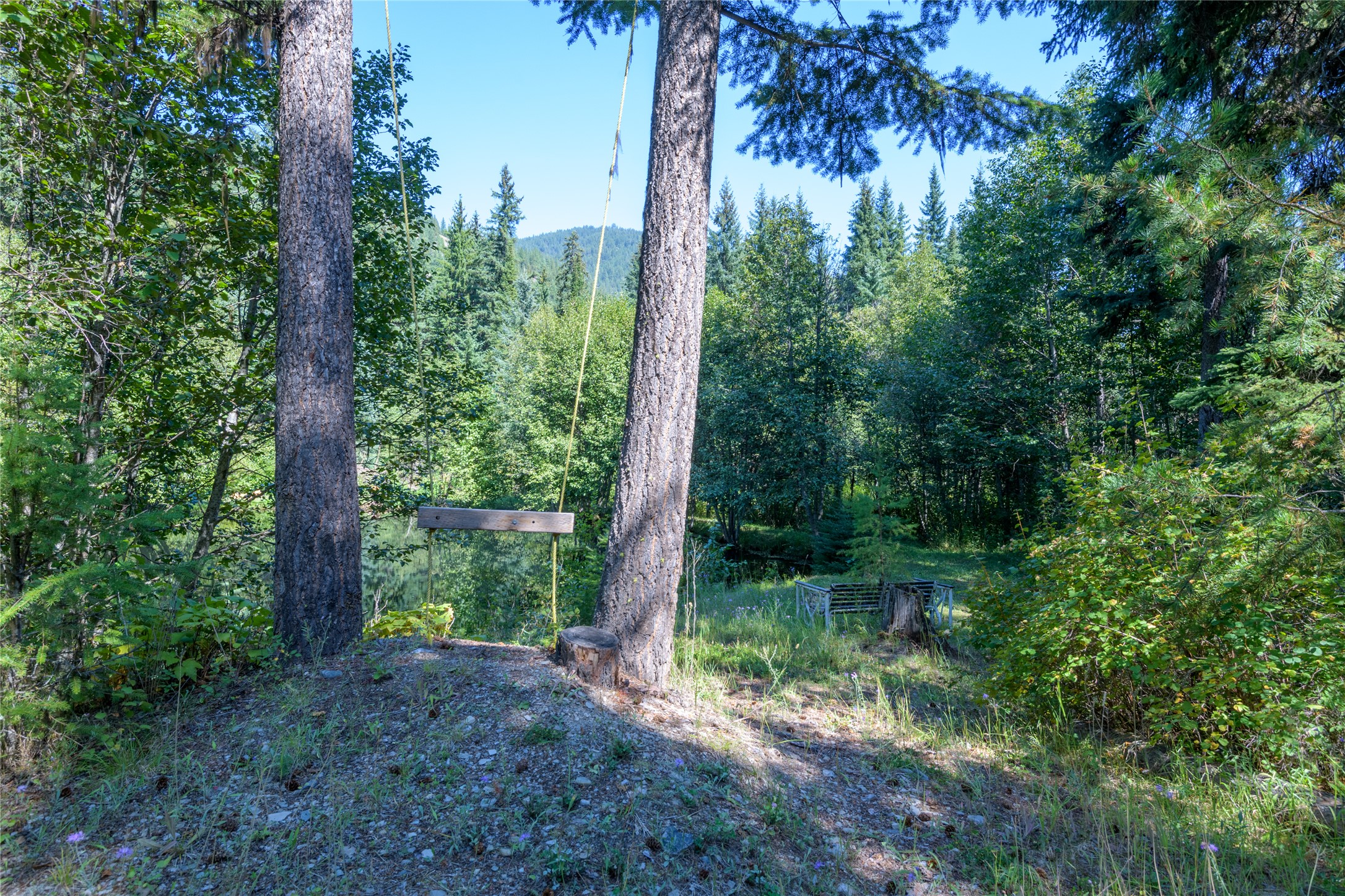8160 W Fork Petty Creek Road Property Photo 55