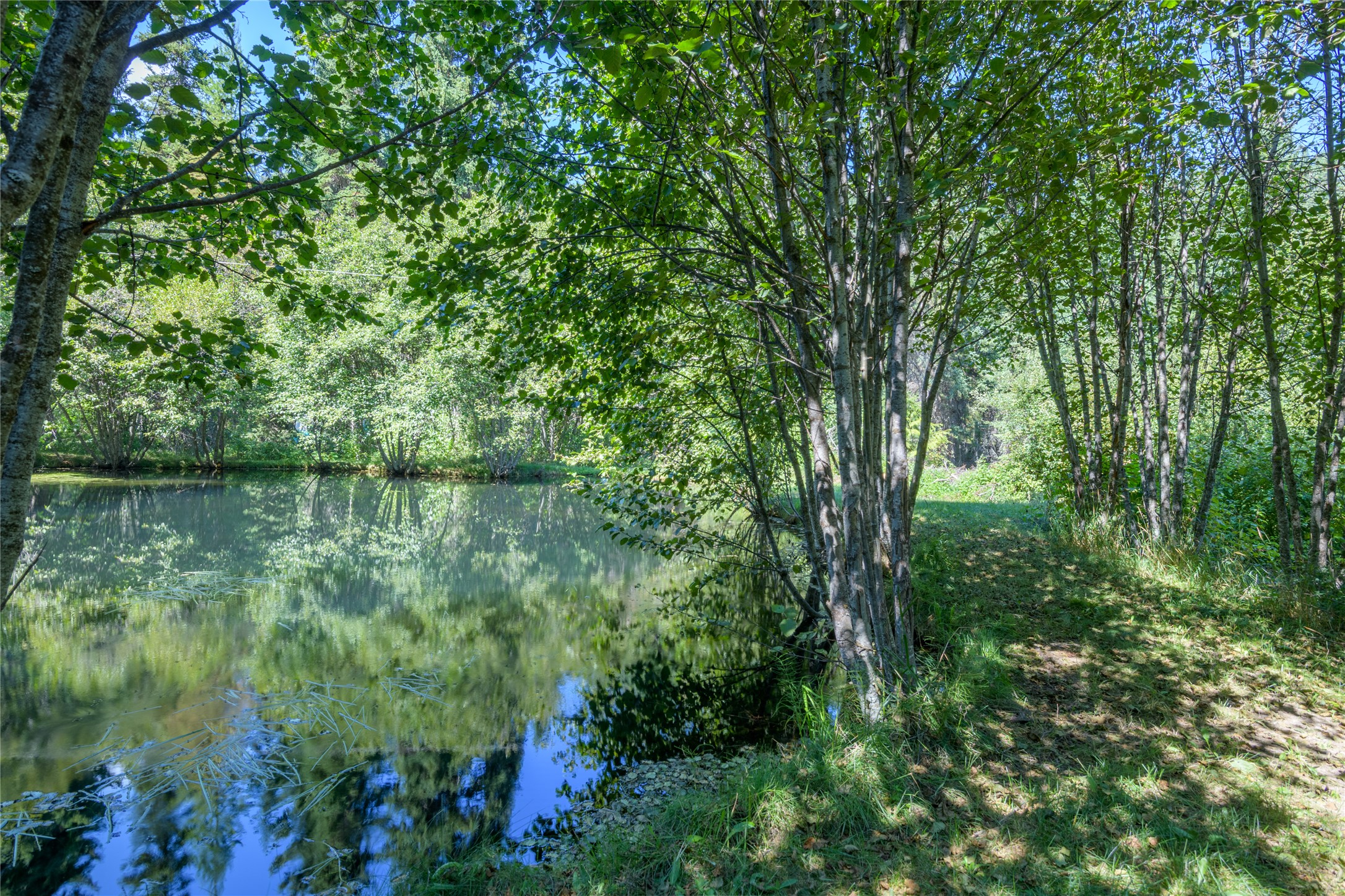 8160 W Fork Petty Creek Road Property Photo 56
