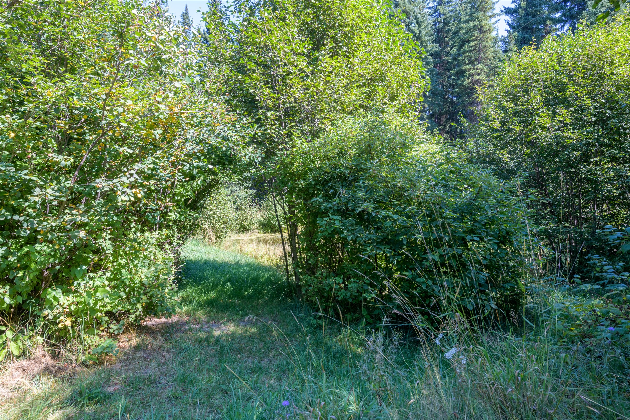 8160 W Fork Petty Creek Road Property Photo 57