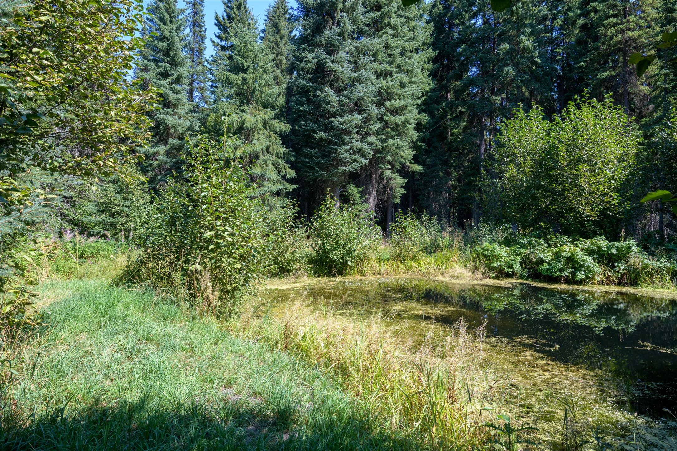 8160 W Fork Petty Creek Road Property Photo 58