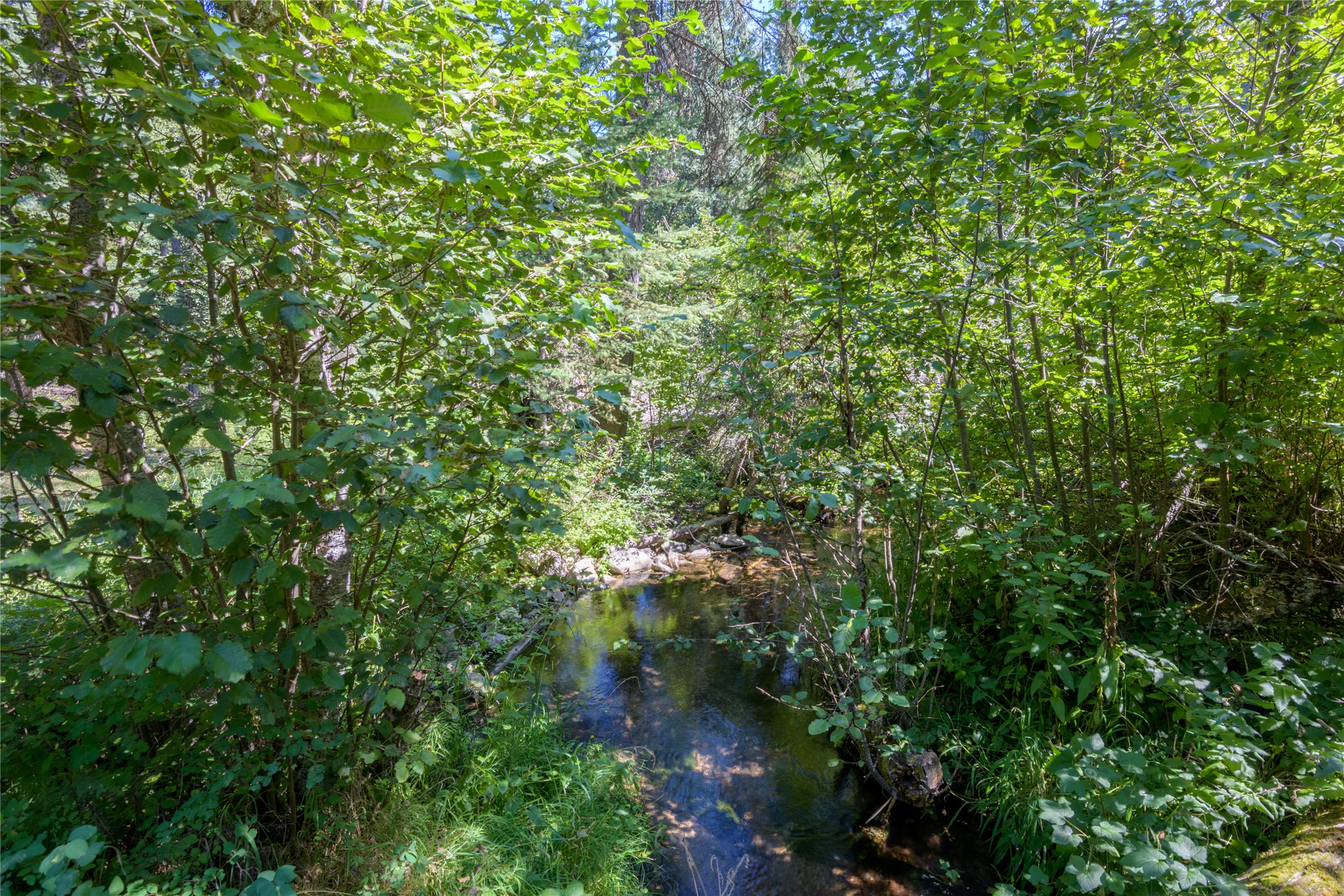 8160 W Fork Petty Creek Road Property Photo 59
