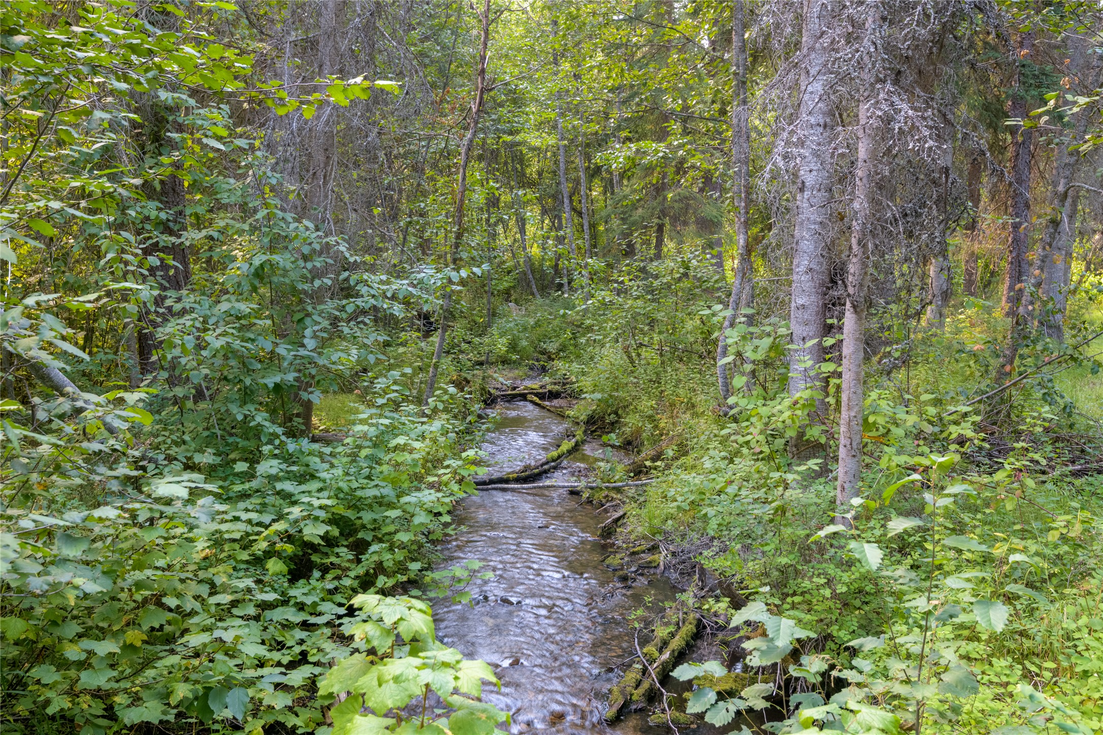 8160 W Fork Petty Creek Road Property Photo 60