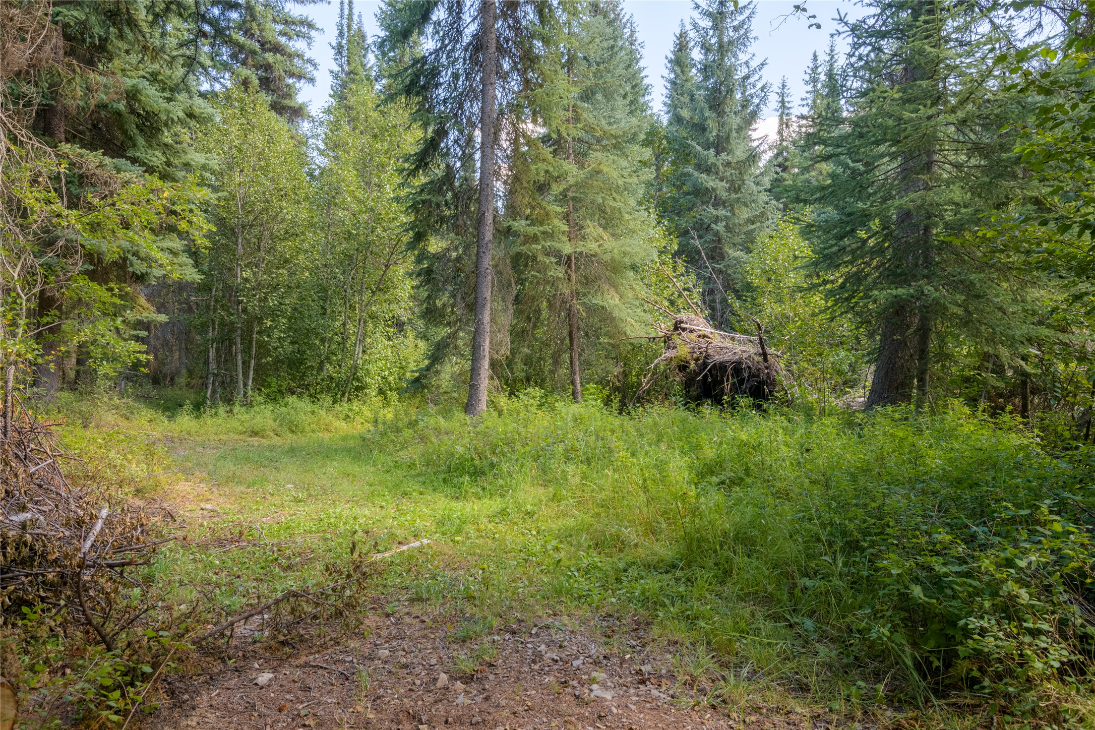8160 W Fork Petty Creek Road Property Photo 61