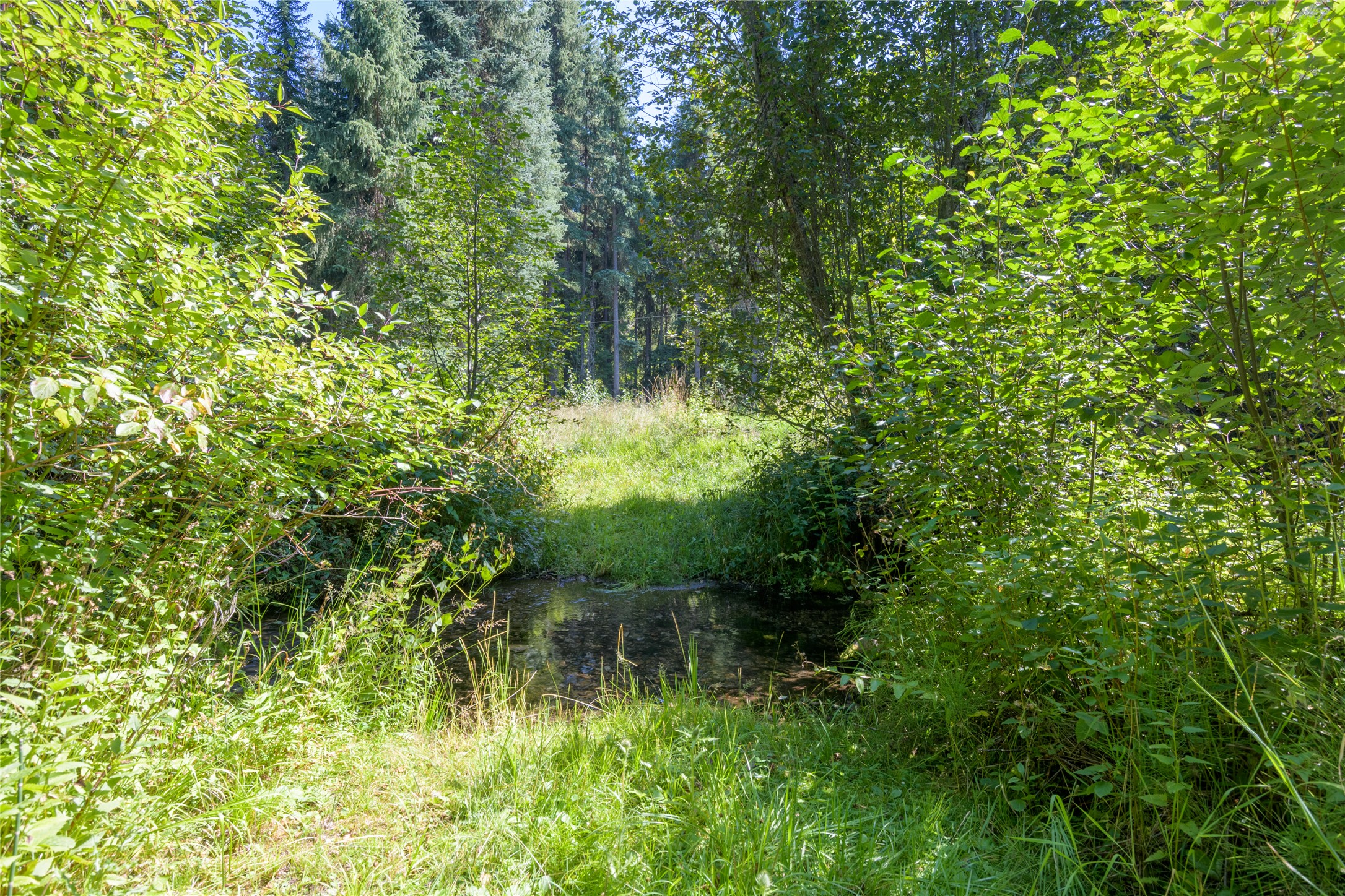 8160 W Fork Petty Creek Road Property Photo 62