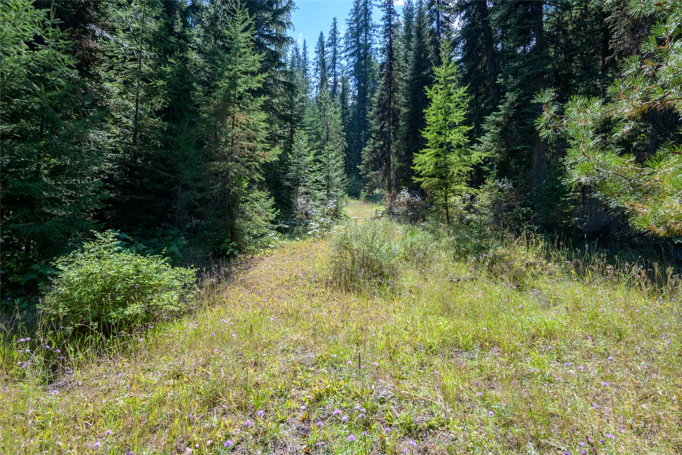 8160 W Fork Petty Creek Road Property Photo 63