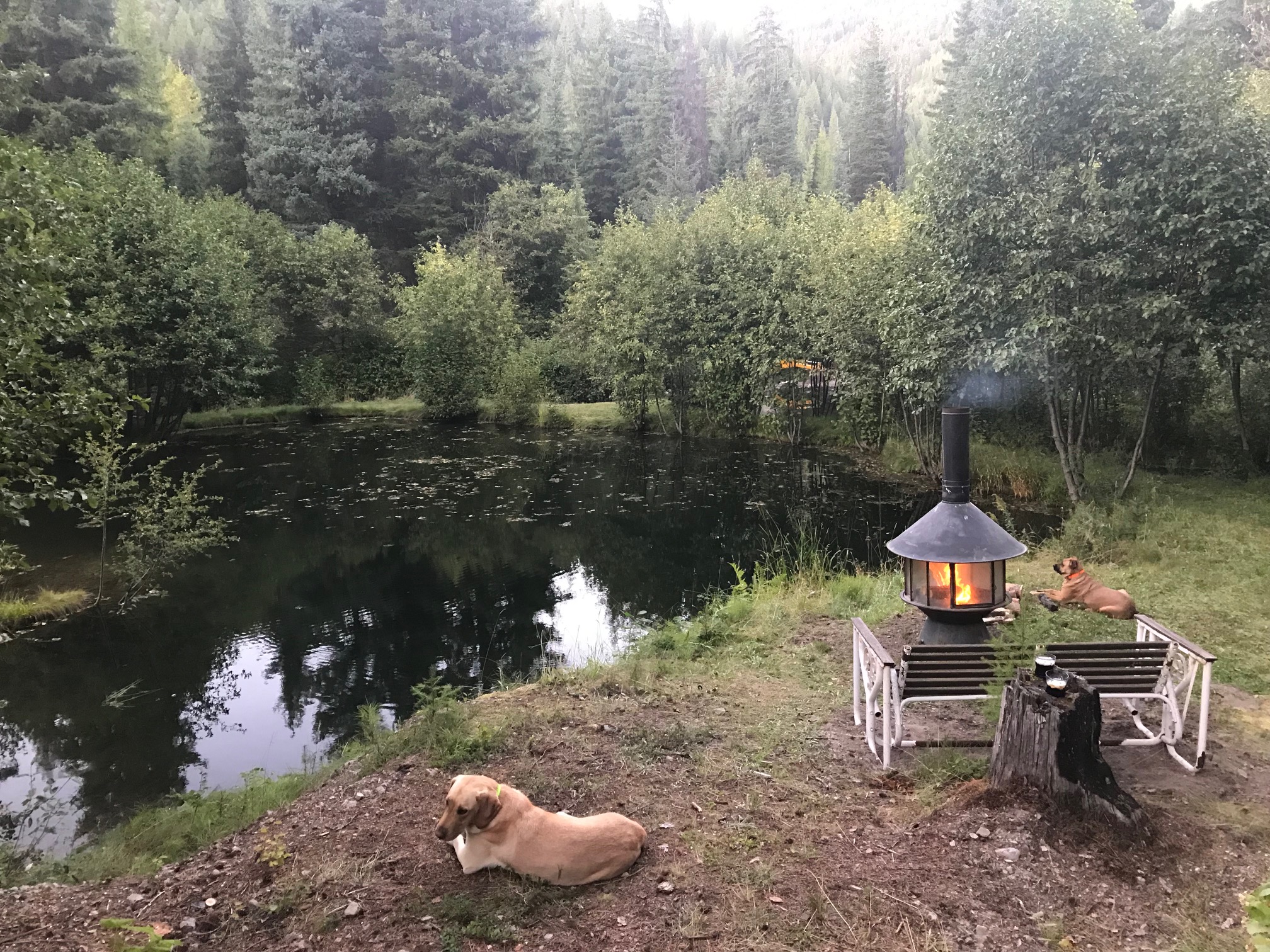 8160 W Fork Petty Creek Road Property Photo 98