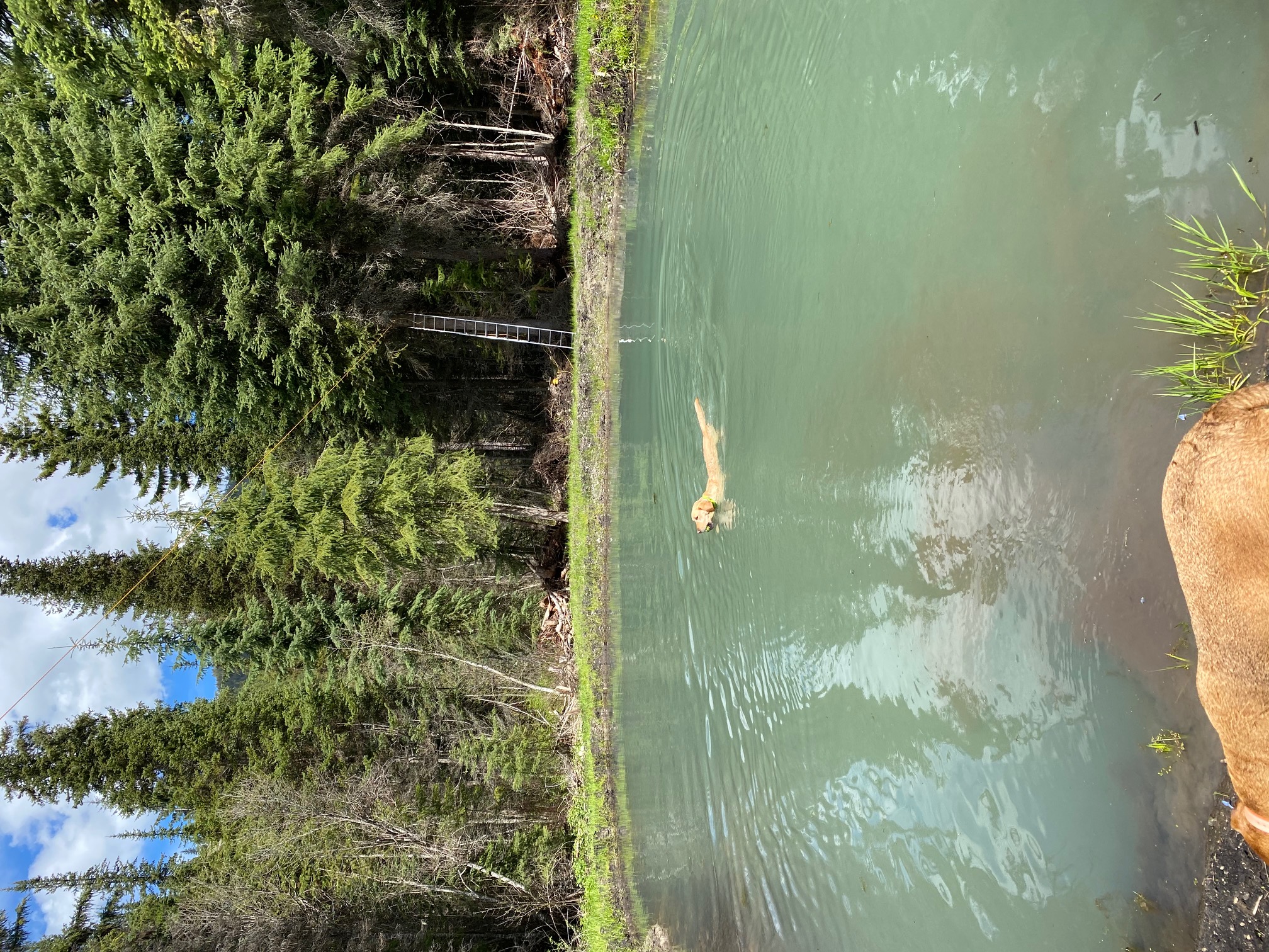 8160 W Fork Petty Creek Road Property Photo 99