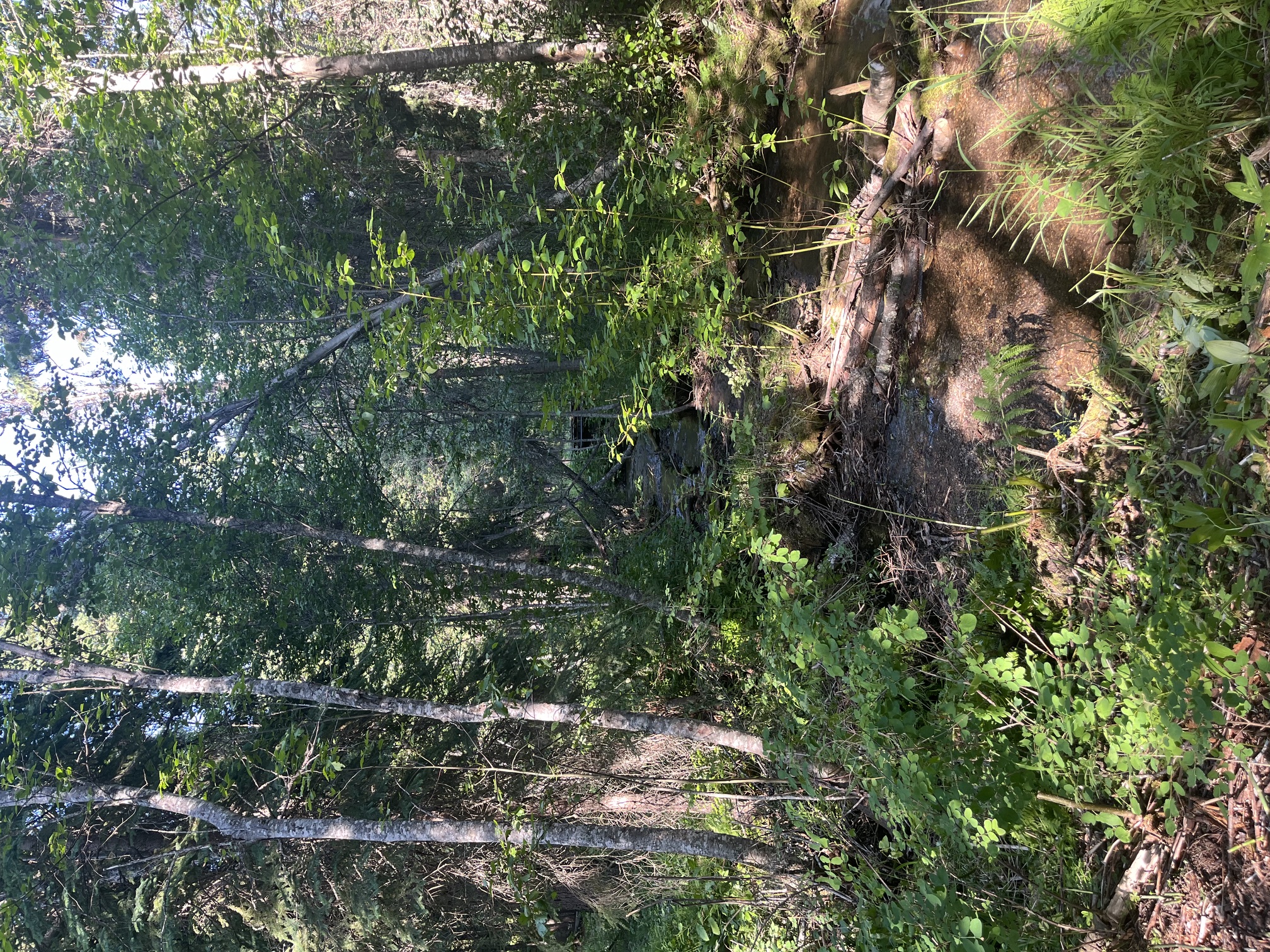 8160 W Fork Petty Creek Road Property Photo 107