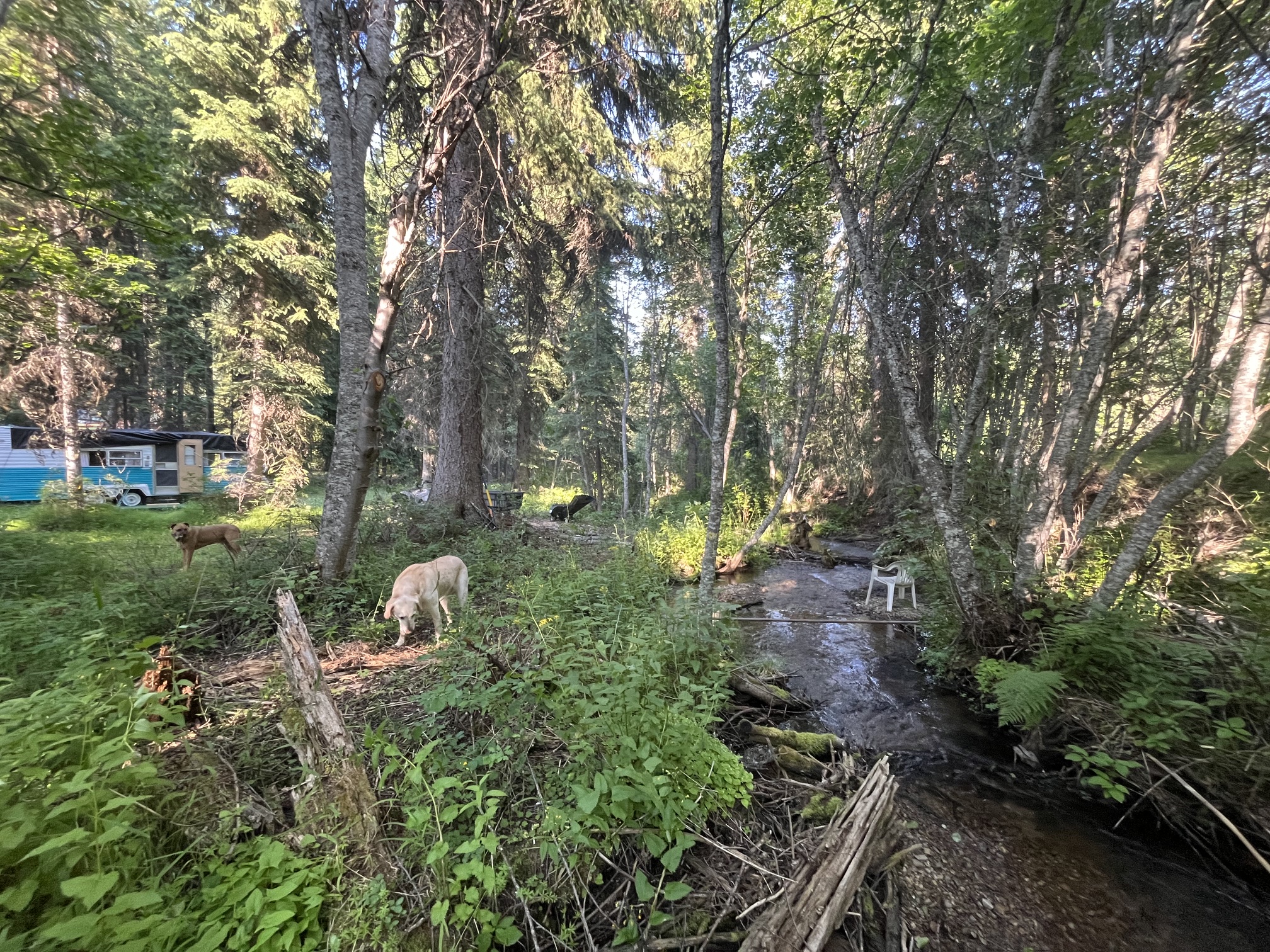 8160 W Fork Petty Creek Road Property Photo 108