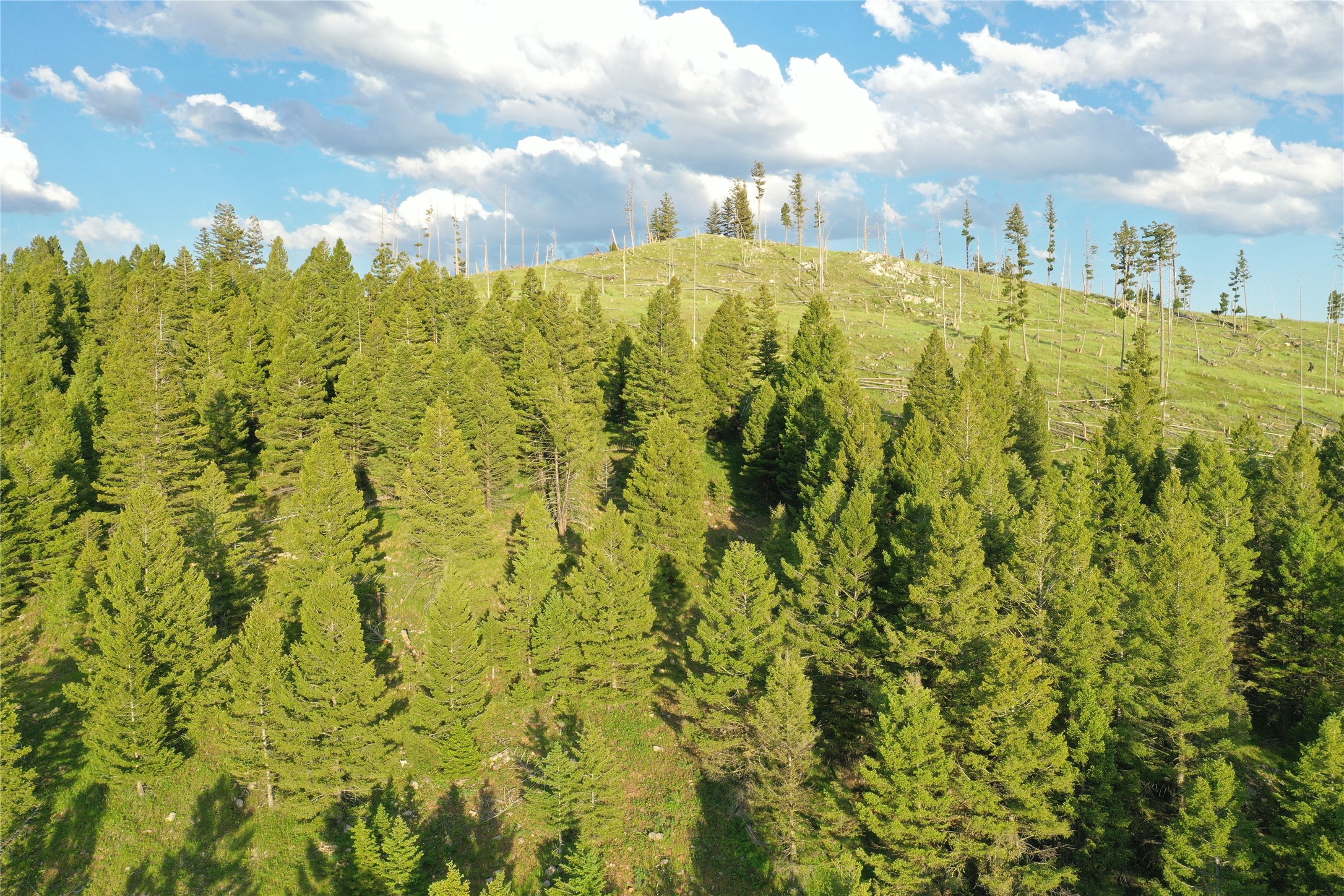 1 Tract Garnet Range Property Photo 3