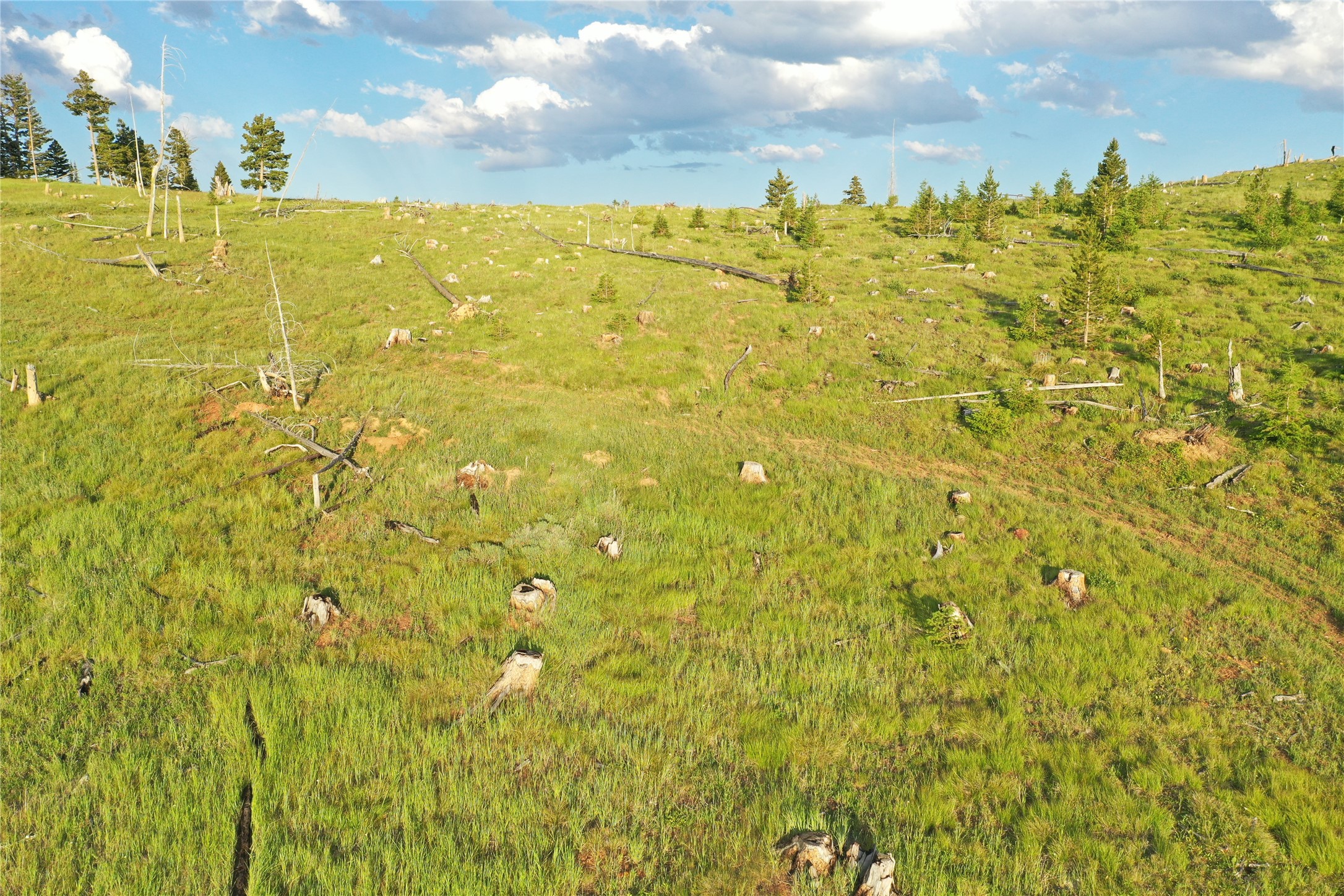 1 Tract Garnet Range Property Photo 4