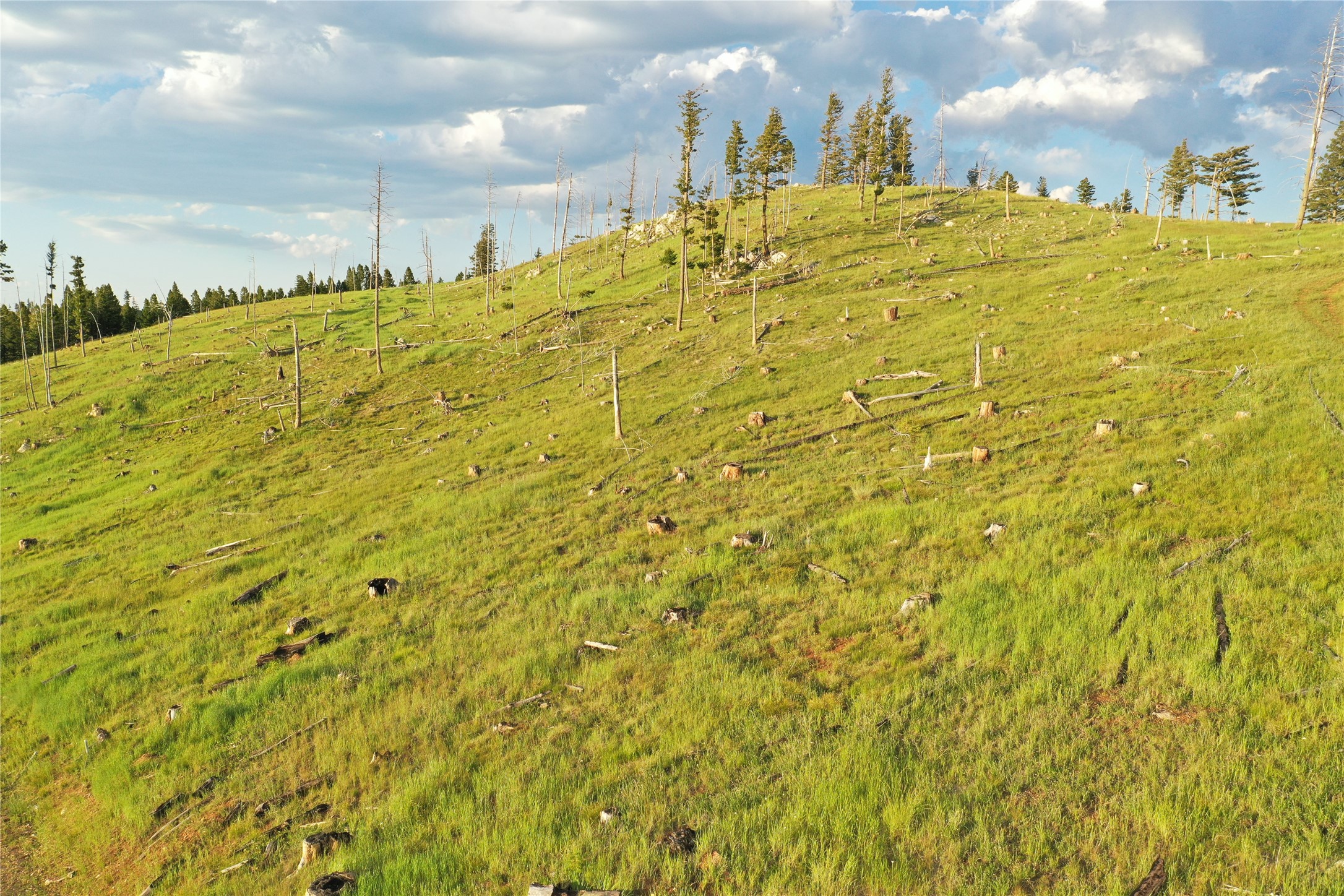 1 Tract Garnet Range Property Photo 5