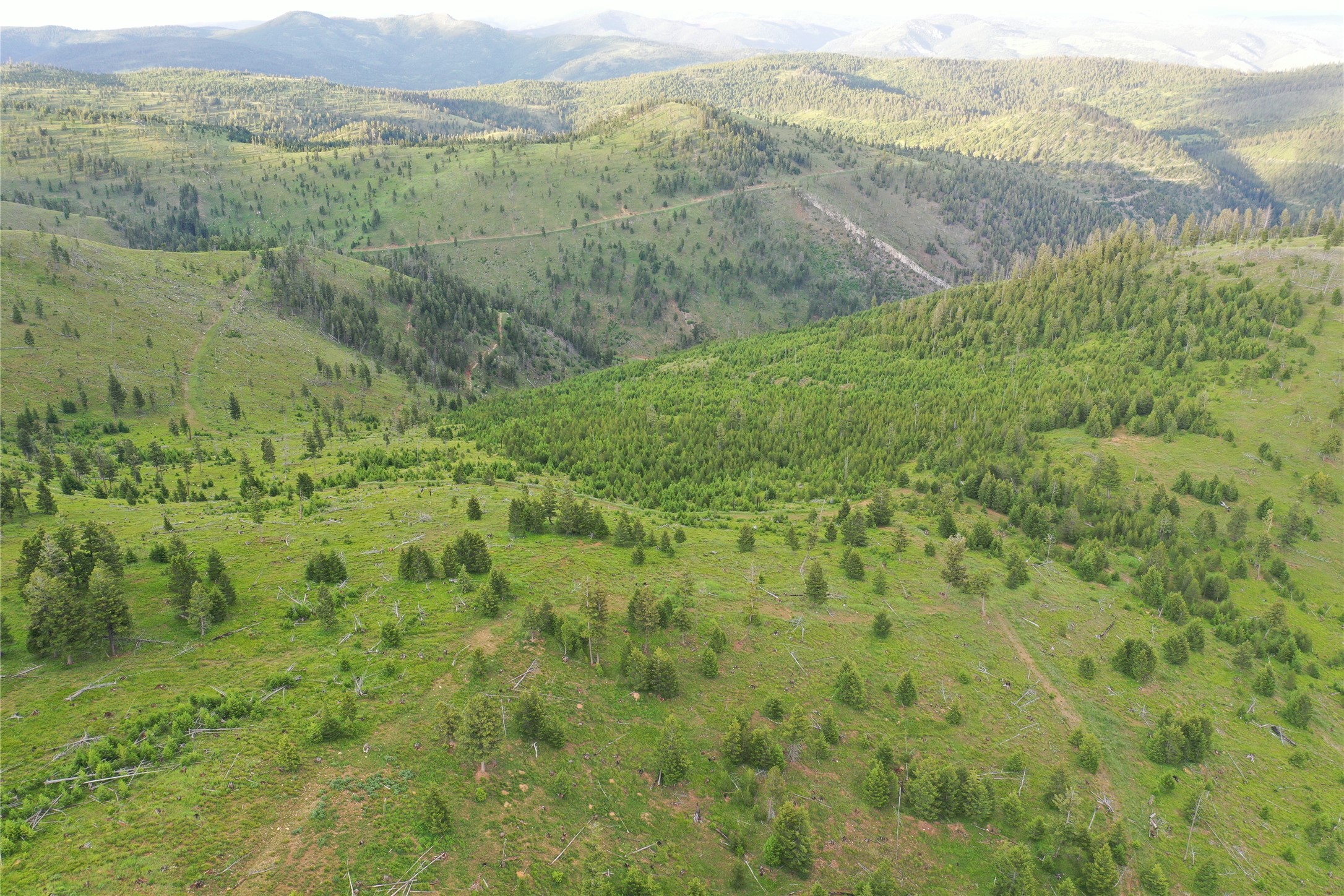 1 Tract Garnet Range Property Photo 6