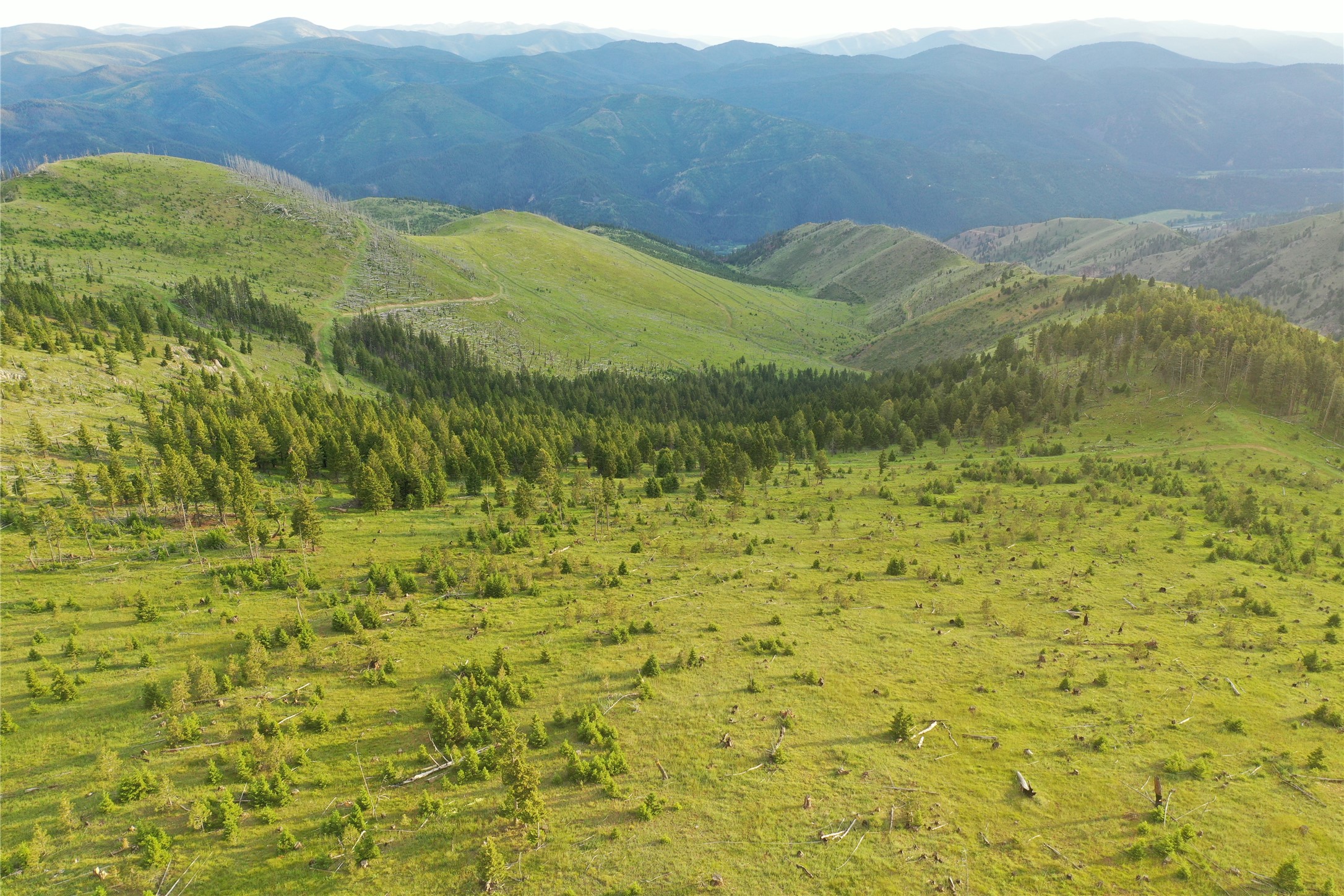 1 Tract Garnet Range Property Photo 9