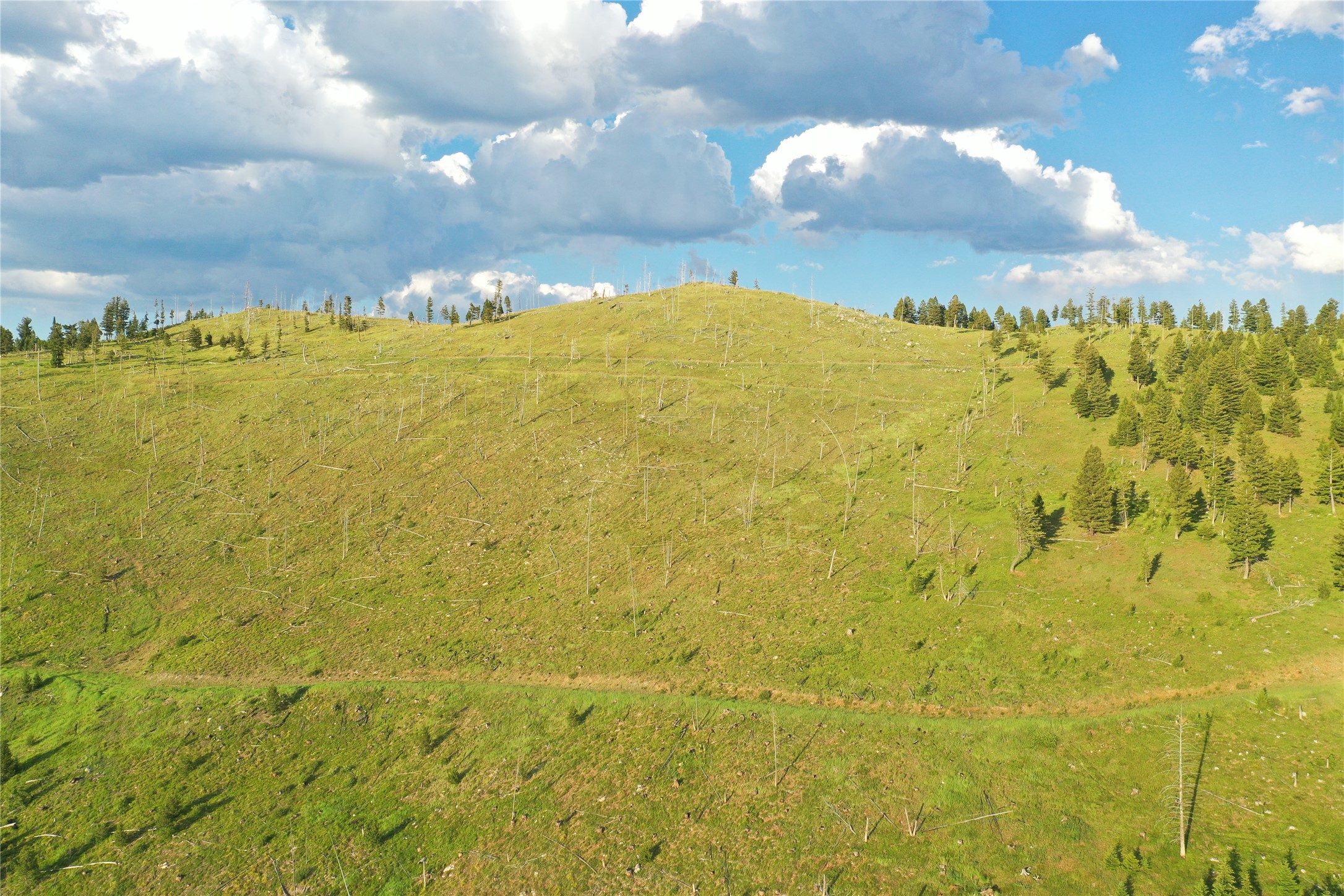 3 Tract, Garnet Range Property Photo 7