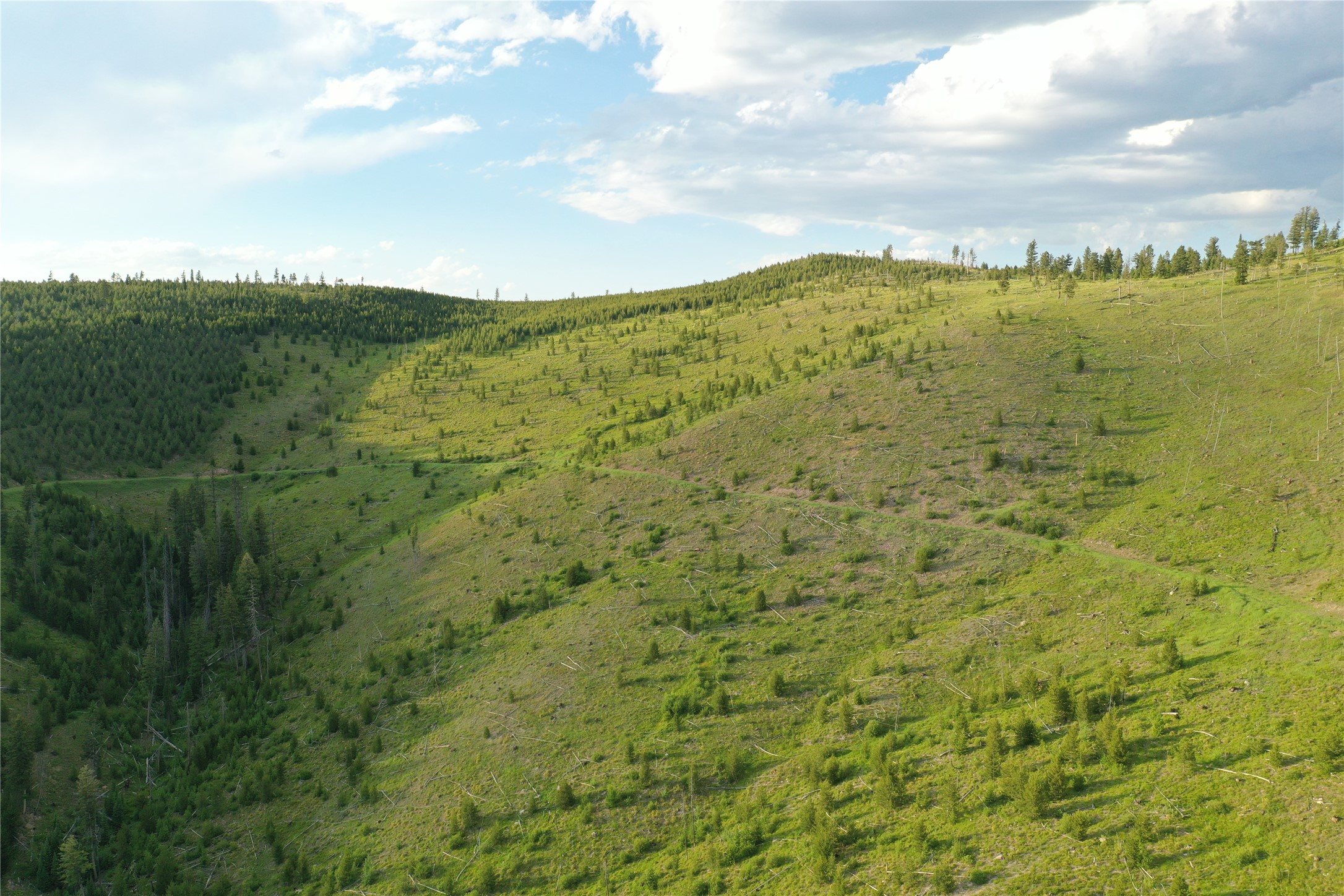 3 Tract, Garnet Range Property Photo 8