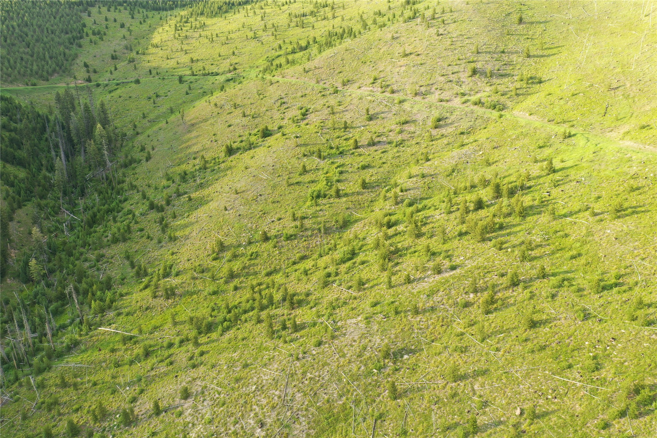 3 Tract, Garnet Range Property Photo 9