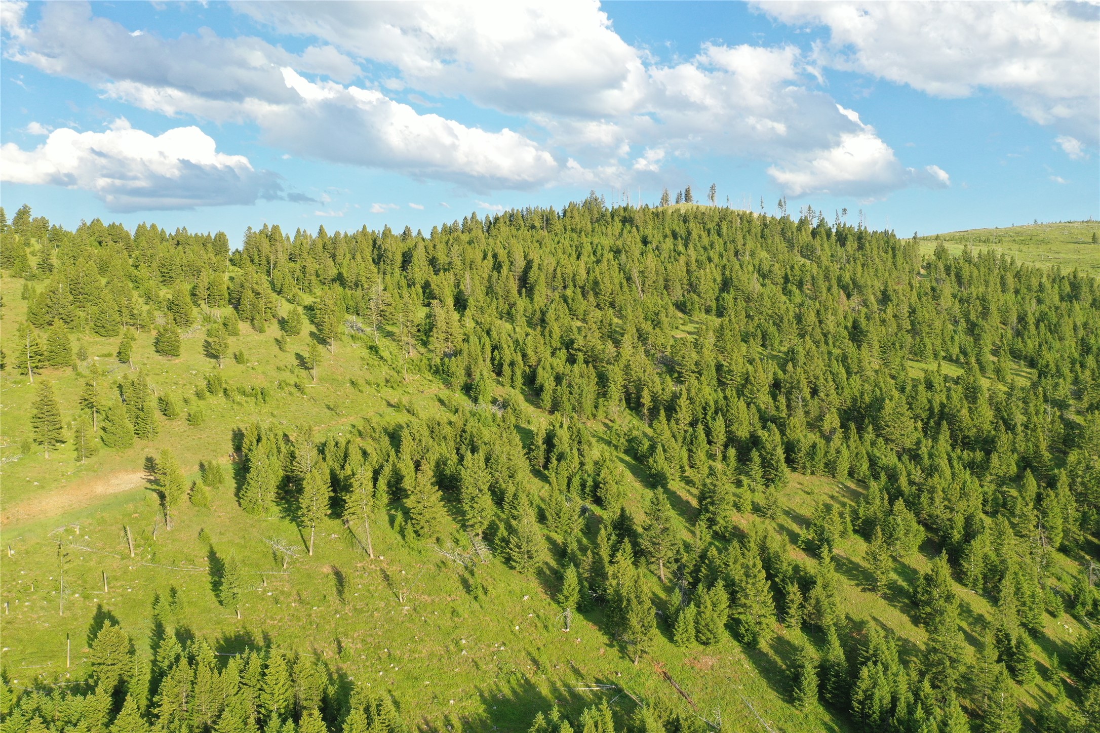 3 Tract, Garnet Range Property Photo 10
