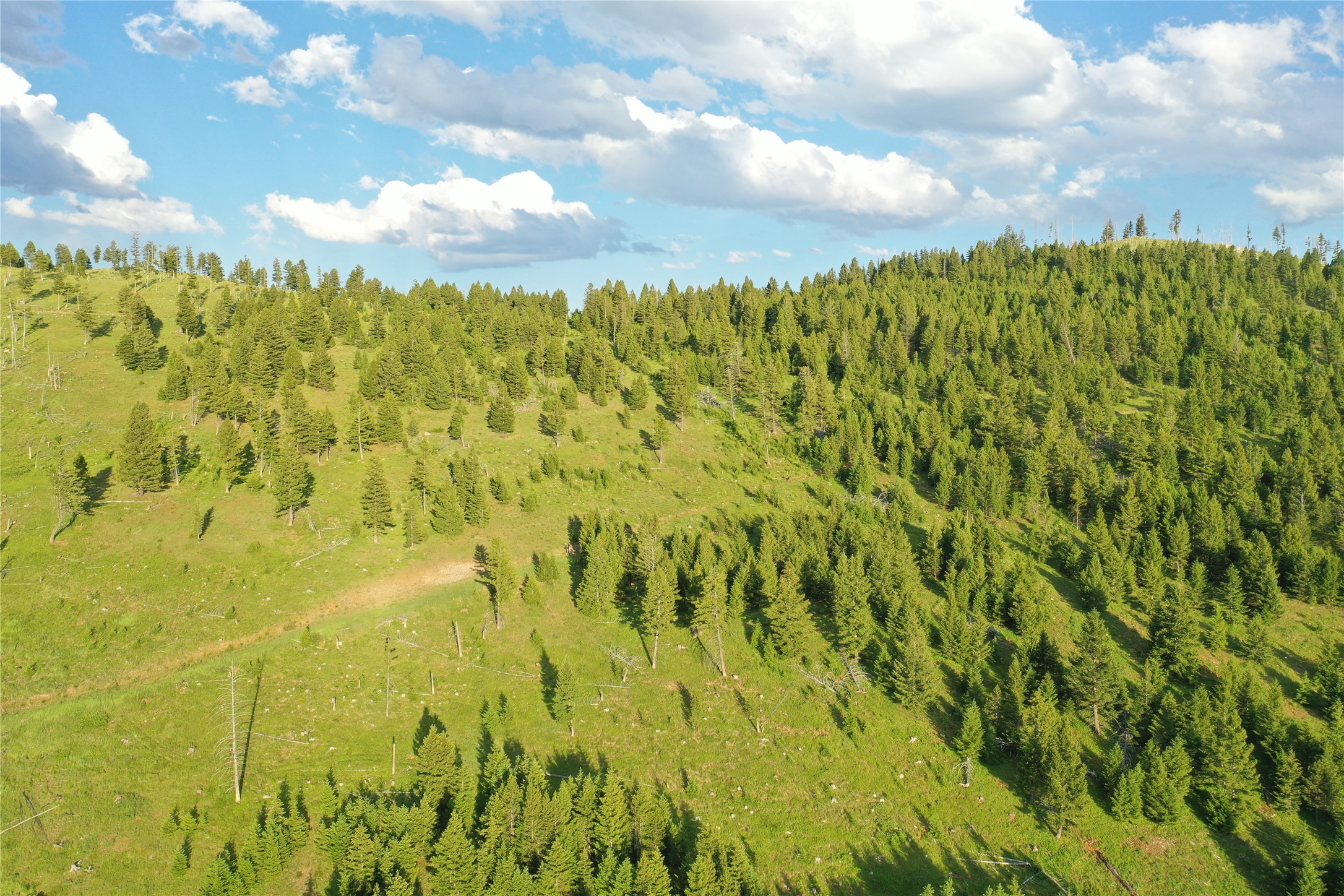 3 Tract, Garnet Range Property Photo 11