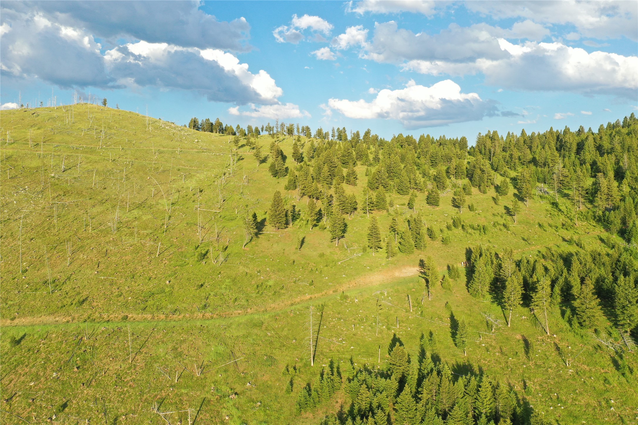 3 Tract, Garnet Range Property Photo 12