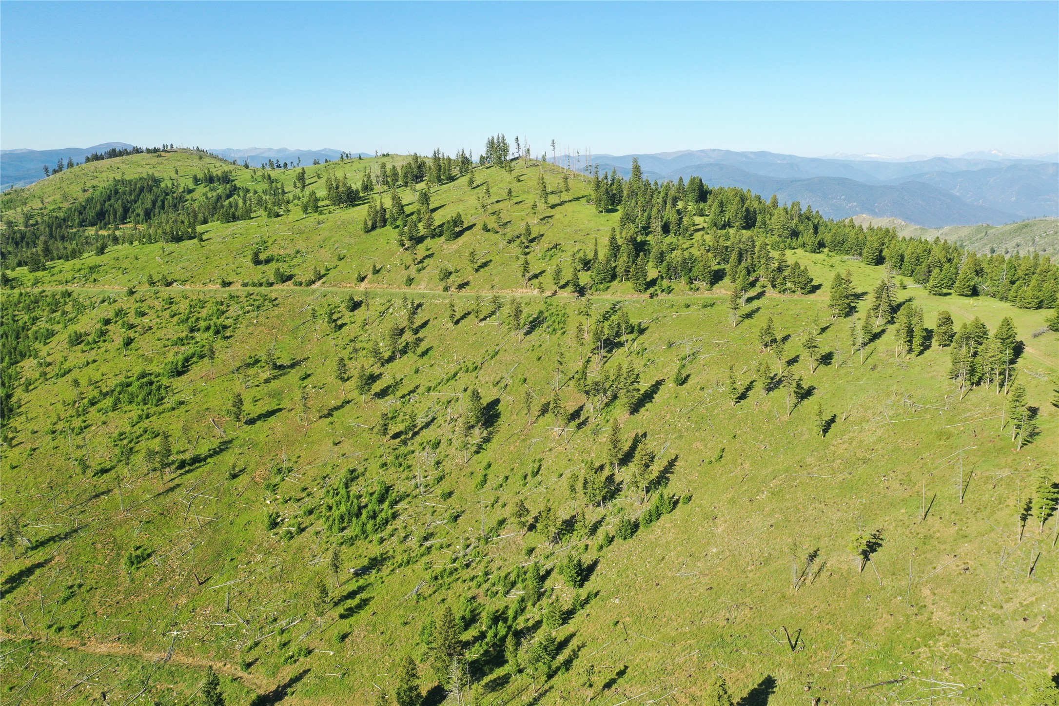 3 Tract, Garnet Range Property Photo 14