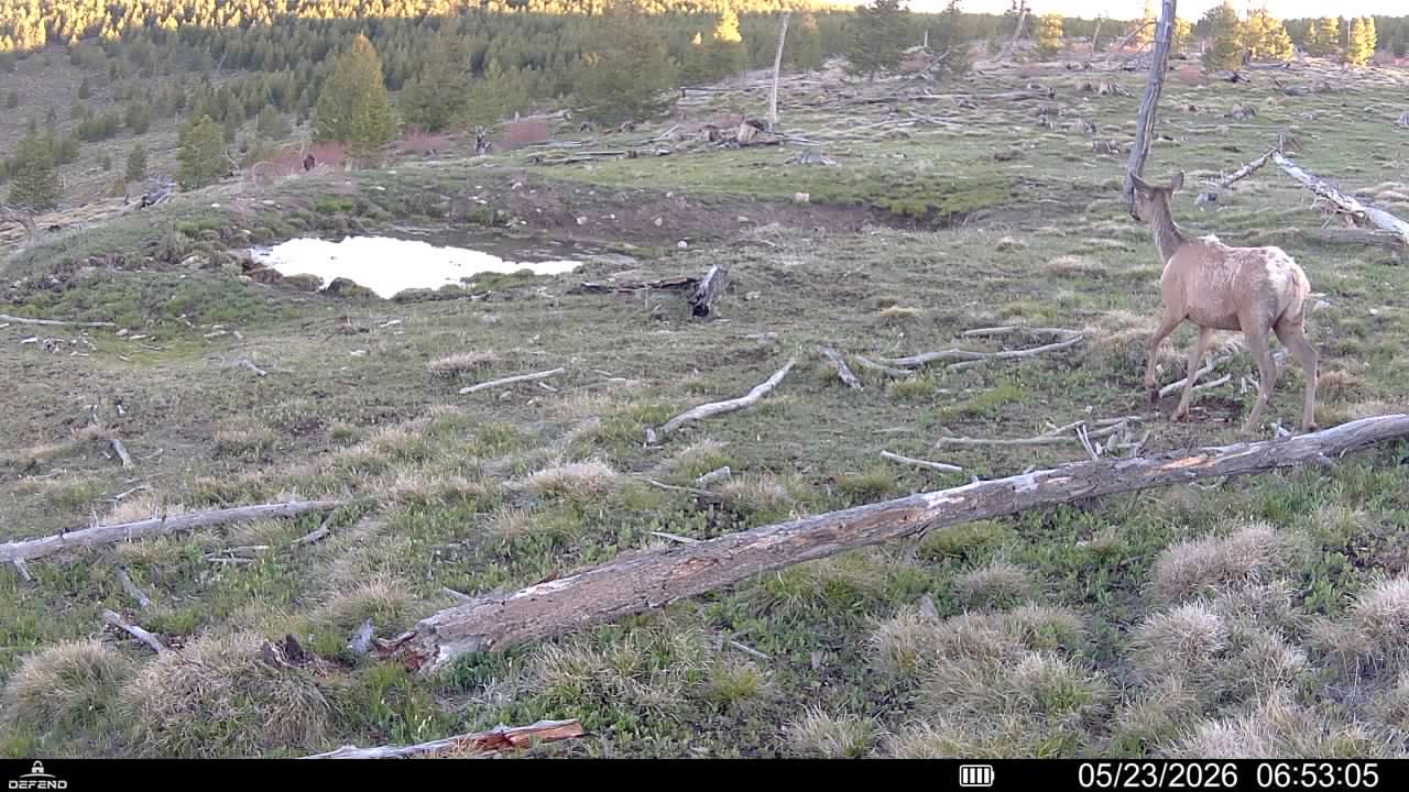 3 Tract, Garnet Range Property Photo 15