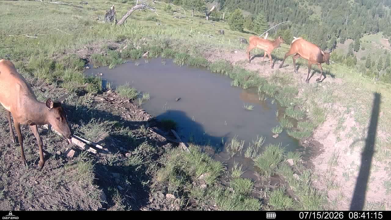 3 Tract, Garnet Range Property Photo 16