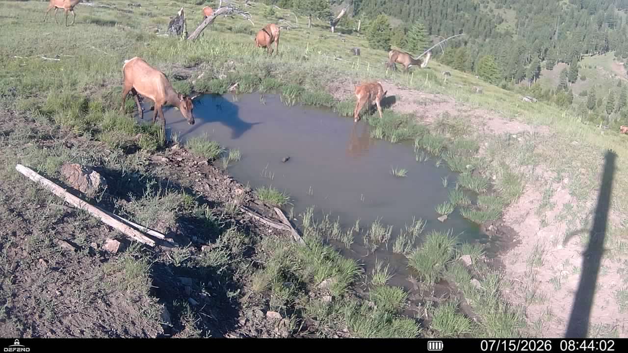 3 Tract, Garnet Range Property Photo 17
