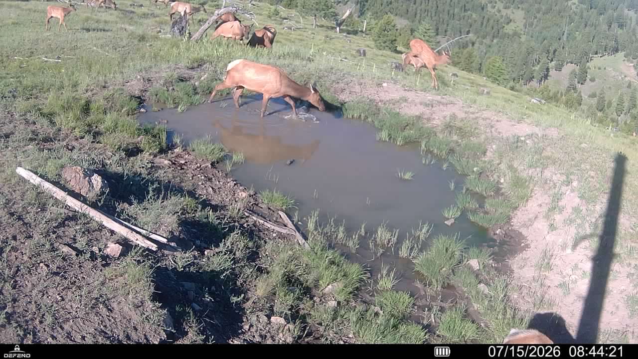 3 Tract, Garnet Range Property Photo 18