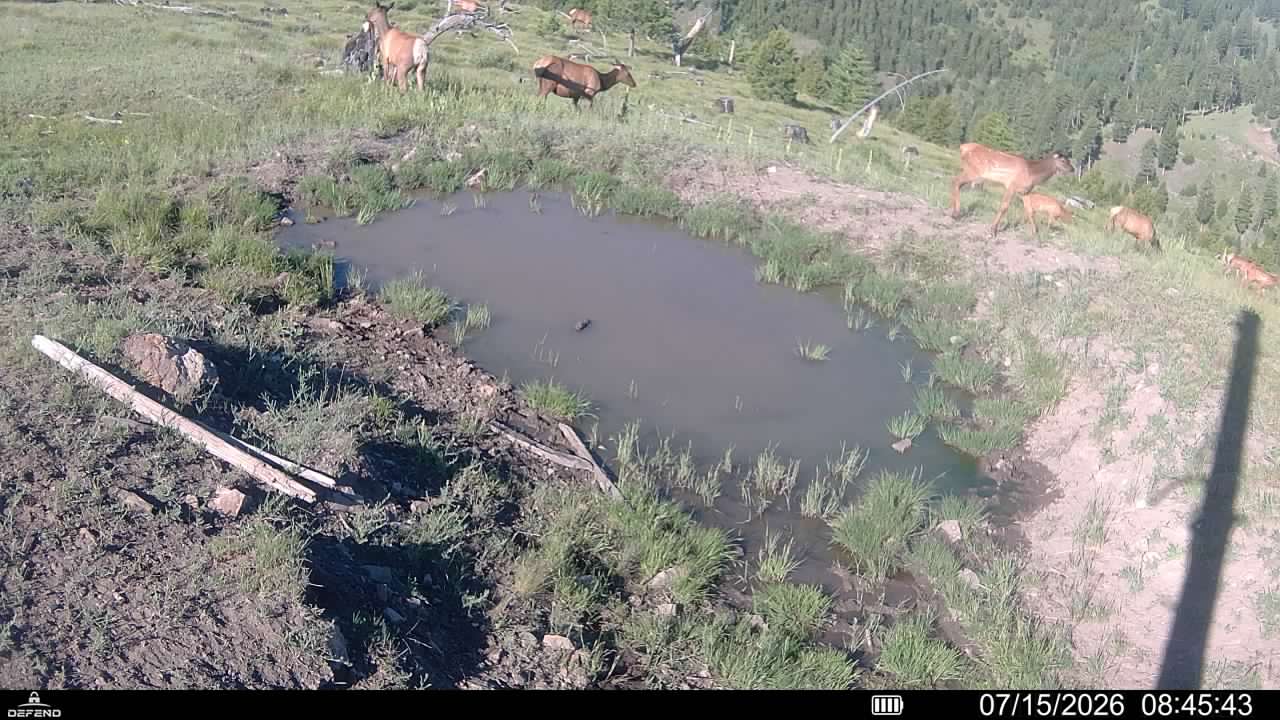 3 Tract, Garnet Range Property Photo 21