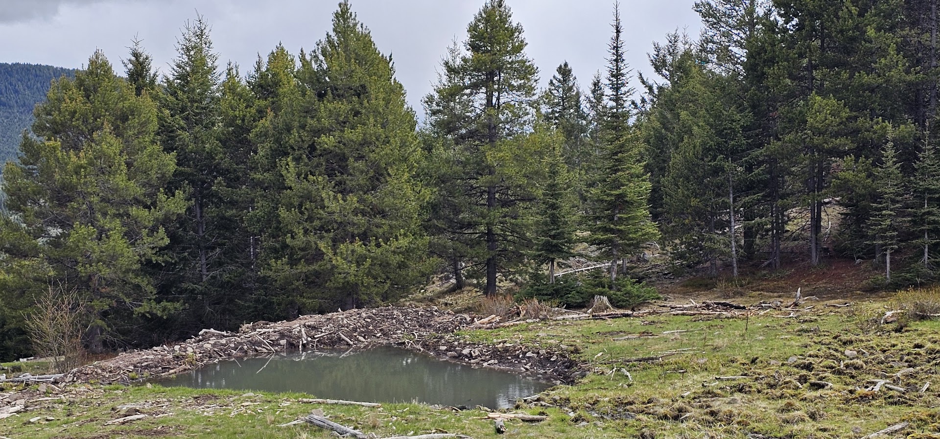 10 Tract, Garnet Range Property Photo 1