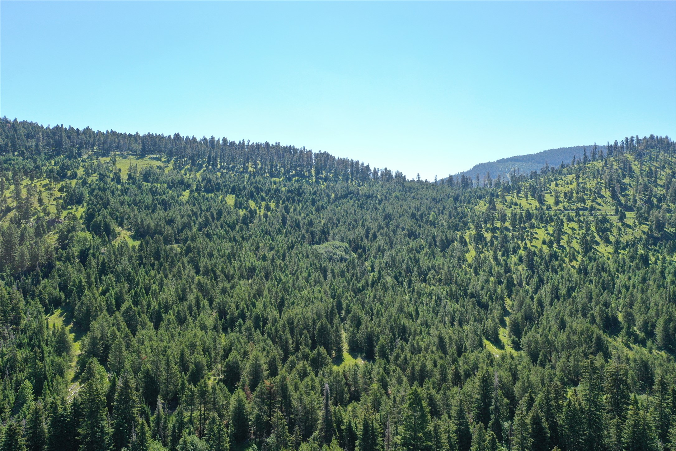6 Tract, Garnet Range Property Photo 7