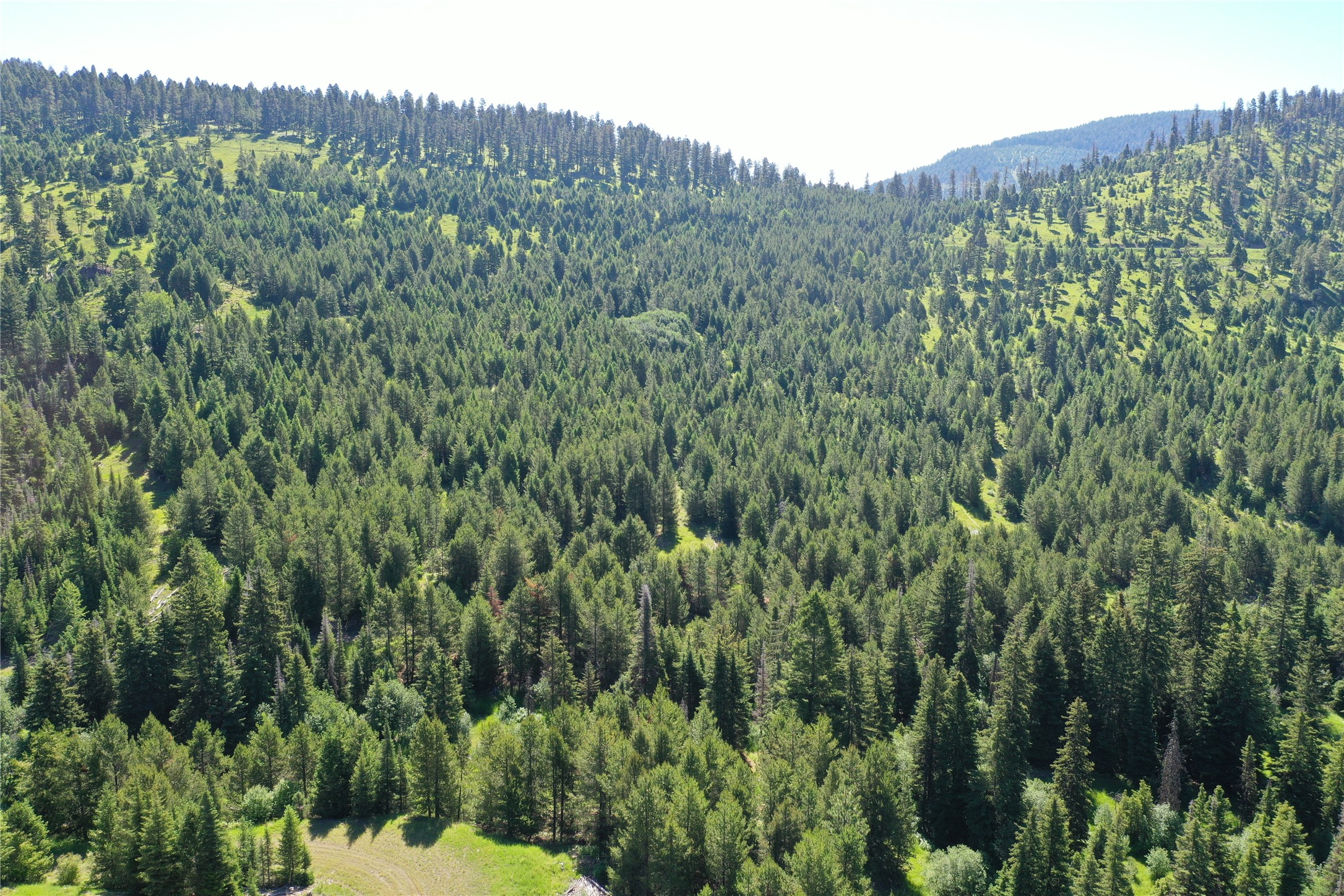 6 Tract, Garnet Range Property Photo 8