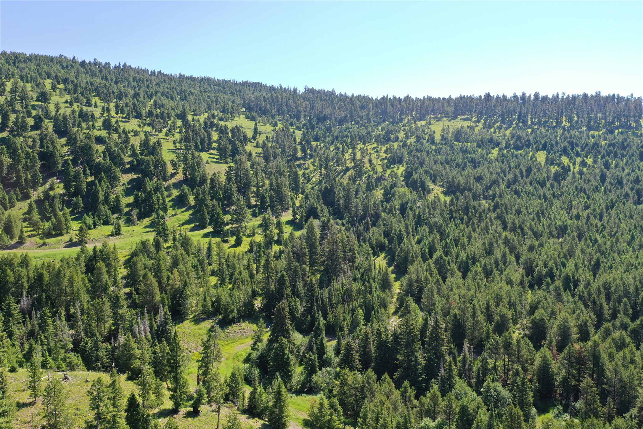6 Tract, Garnet Range Property Photo 9