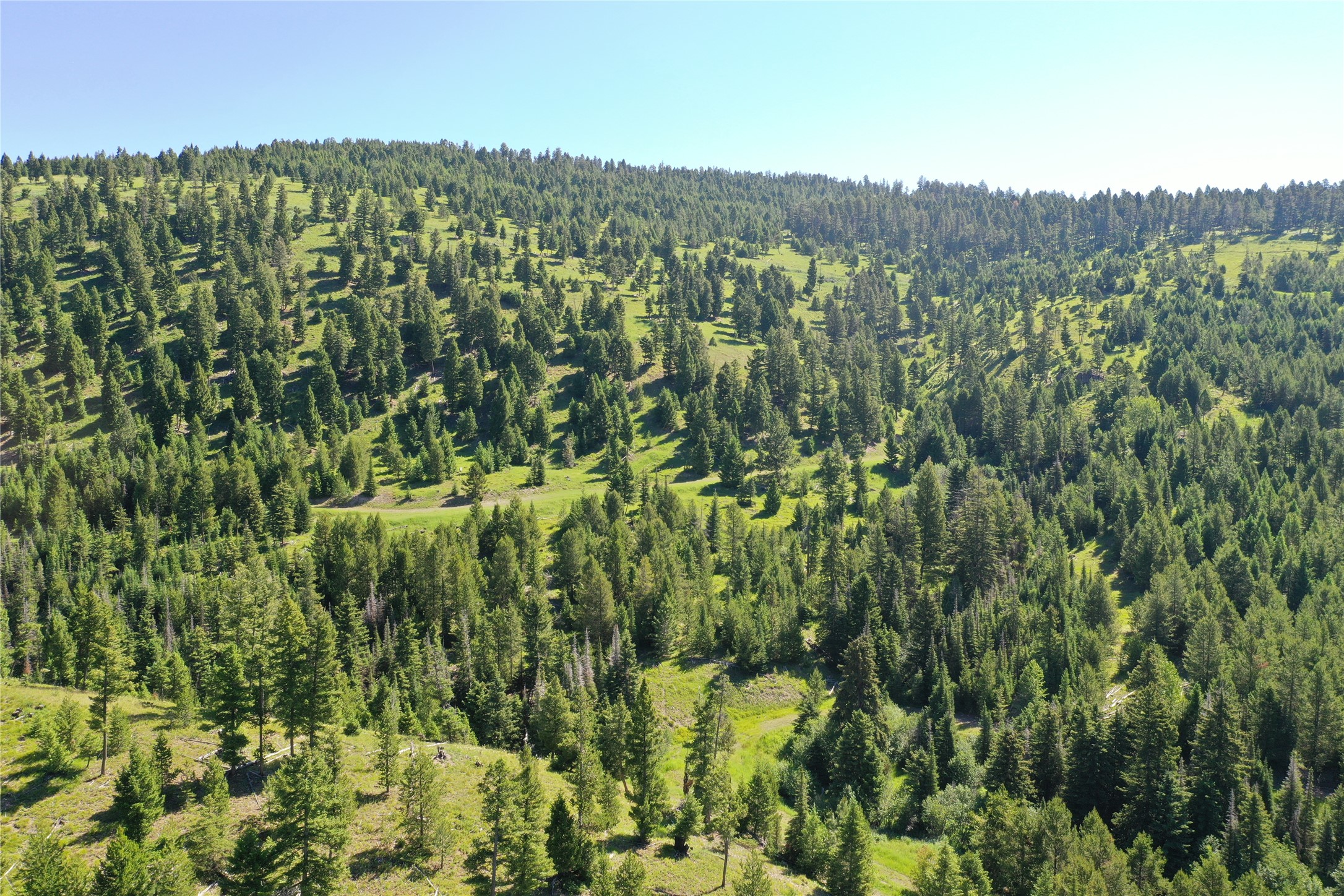 6 Tract, Garnet Range Property Photo 10