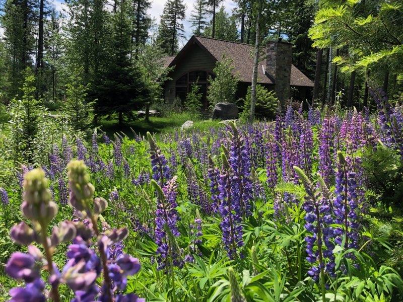 500 Wild Swan Trail Property Photo 39