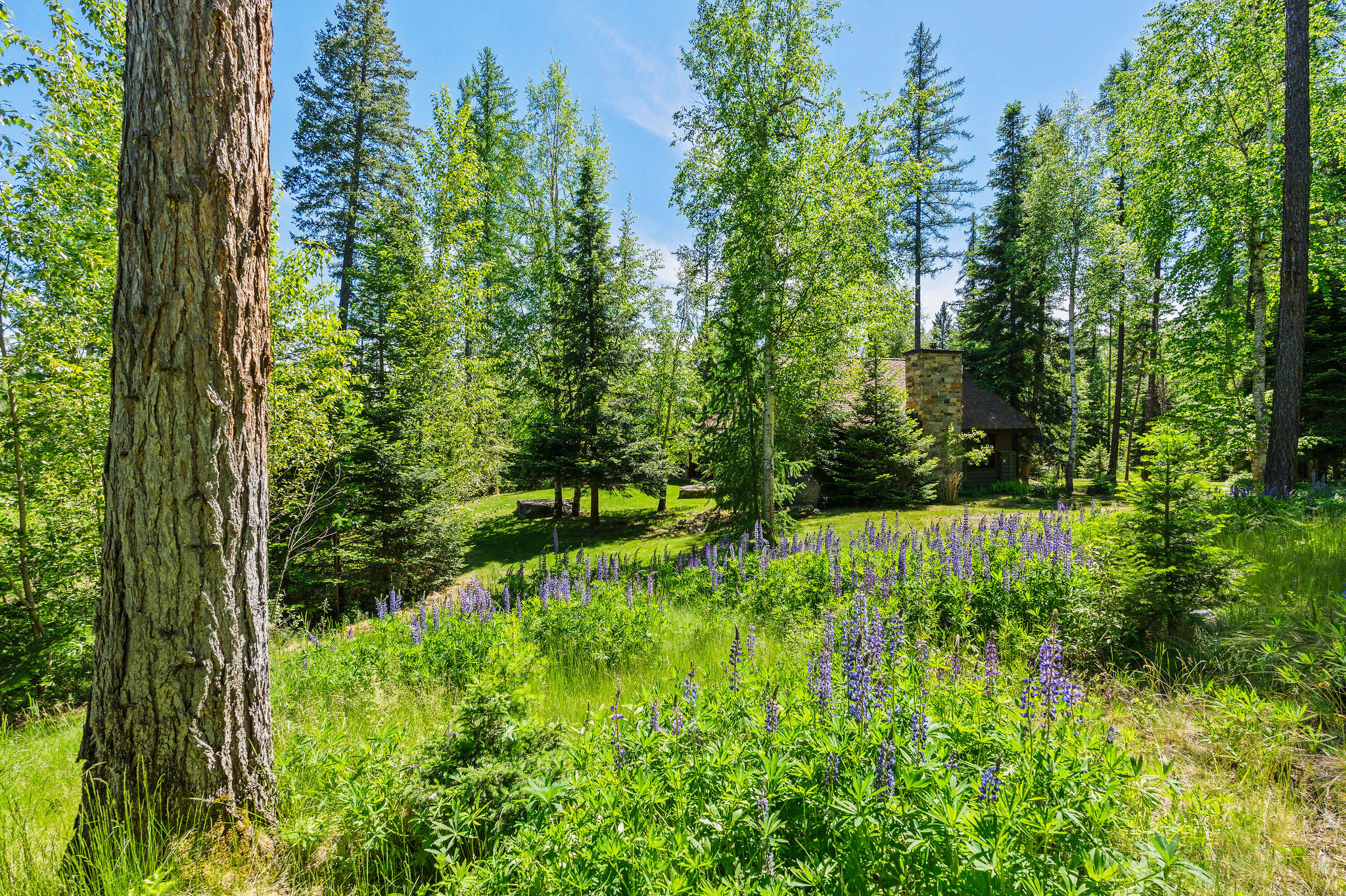500 Wild Swan Trail Property Photo 40