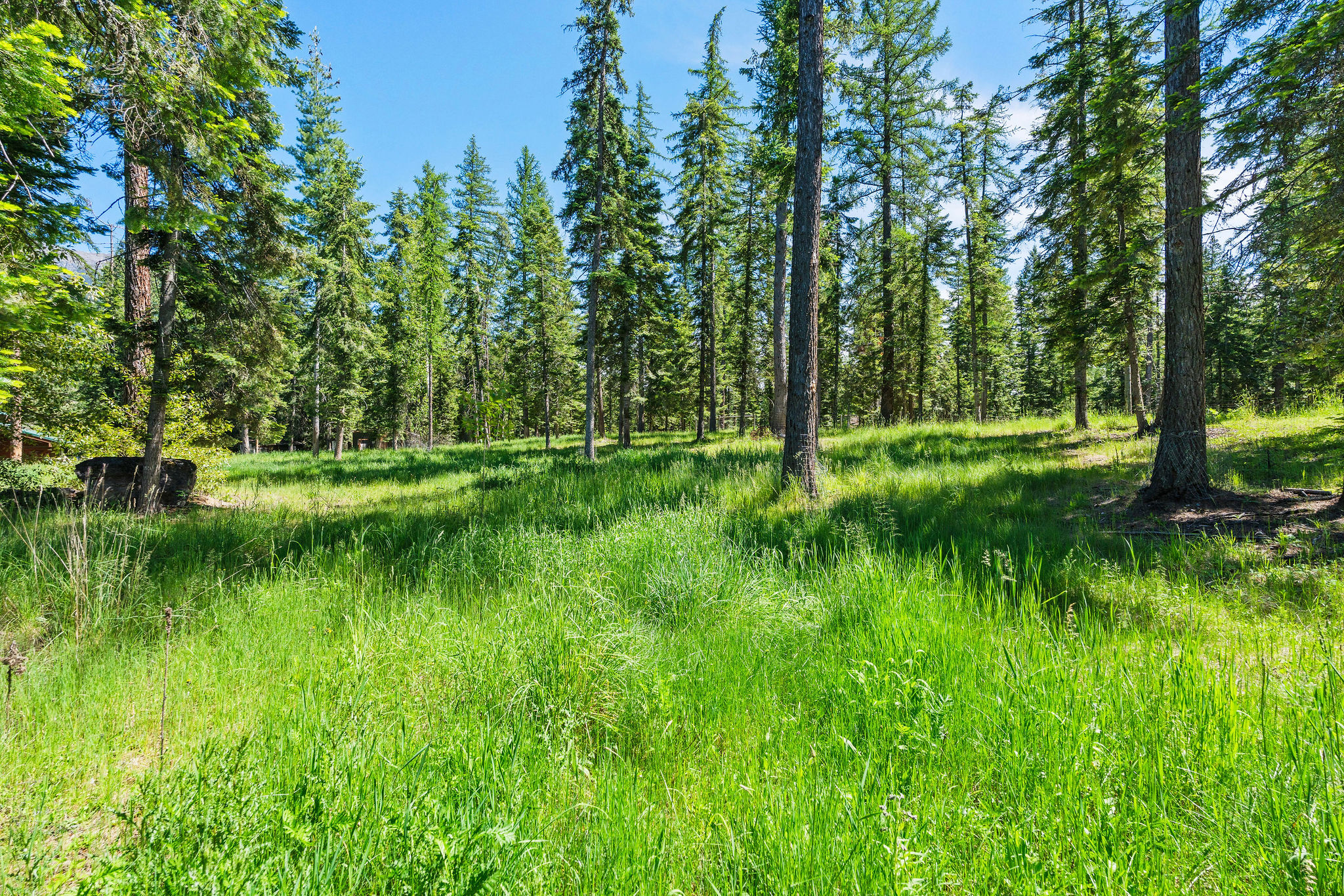 500 Wild Swan Trail Property Photo 66
