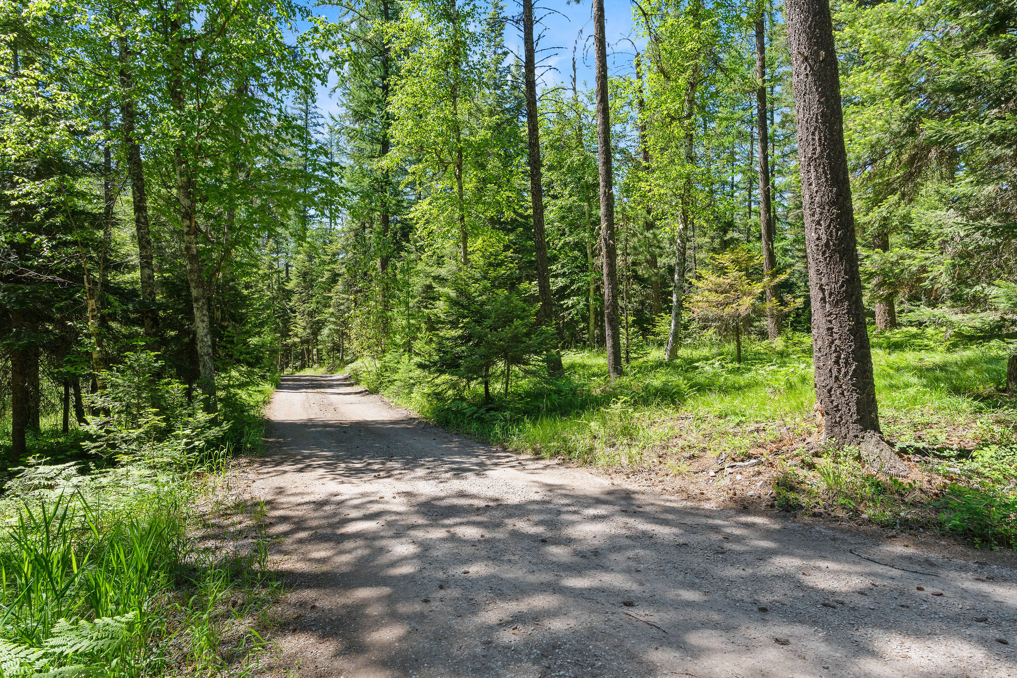 500 Wild Swan Trail Property Photo 98
