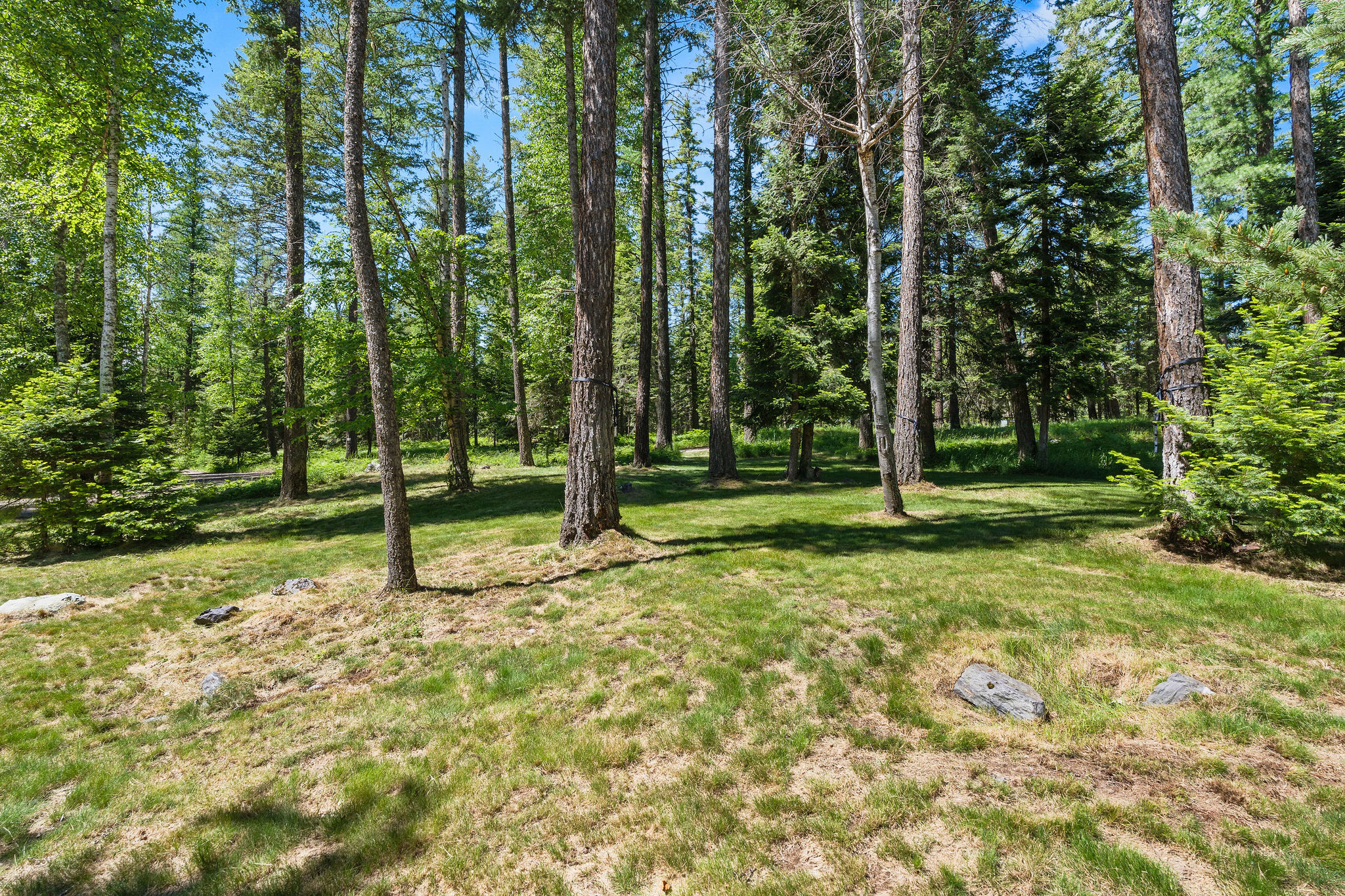 500 Wild Swan Trail Property Photo 100