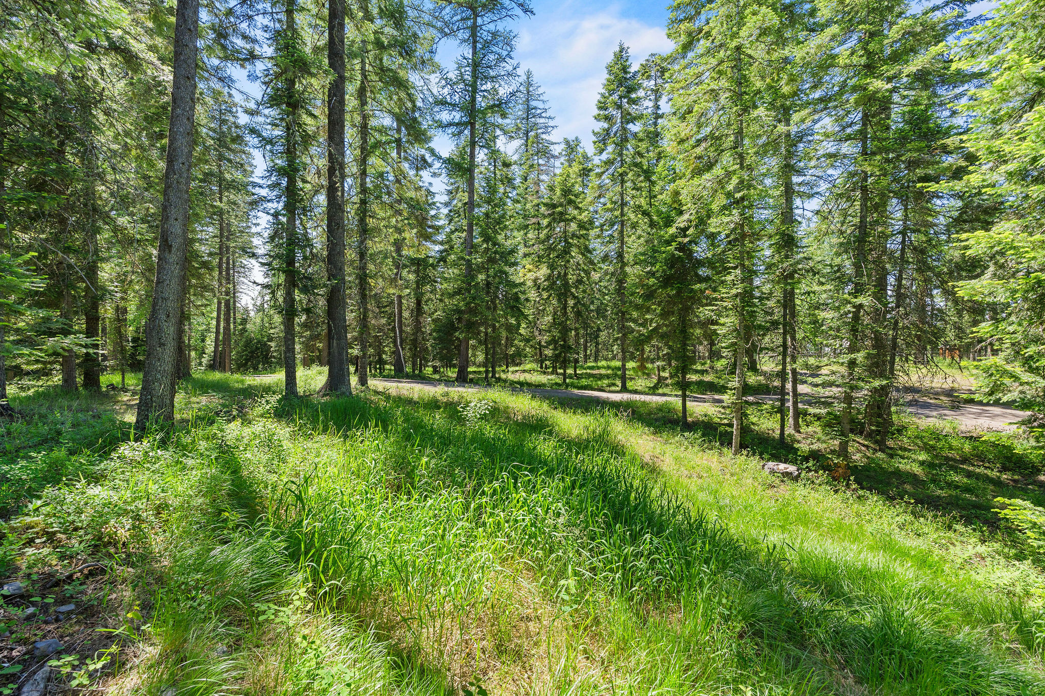 500 Wild Swan Trail Property Photo 106