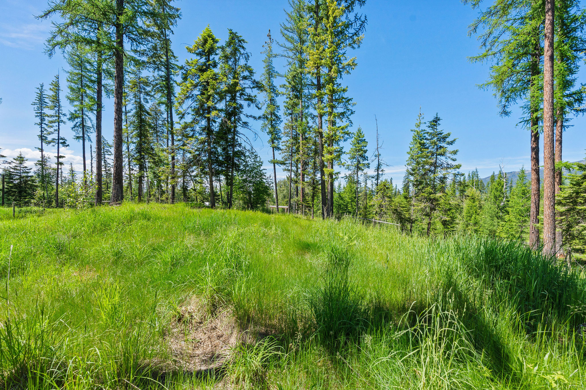 500 Wild Swan Trail Property Photo 108