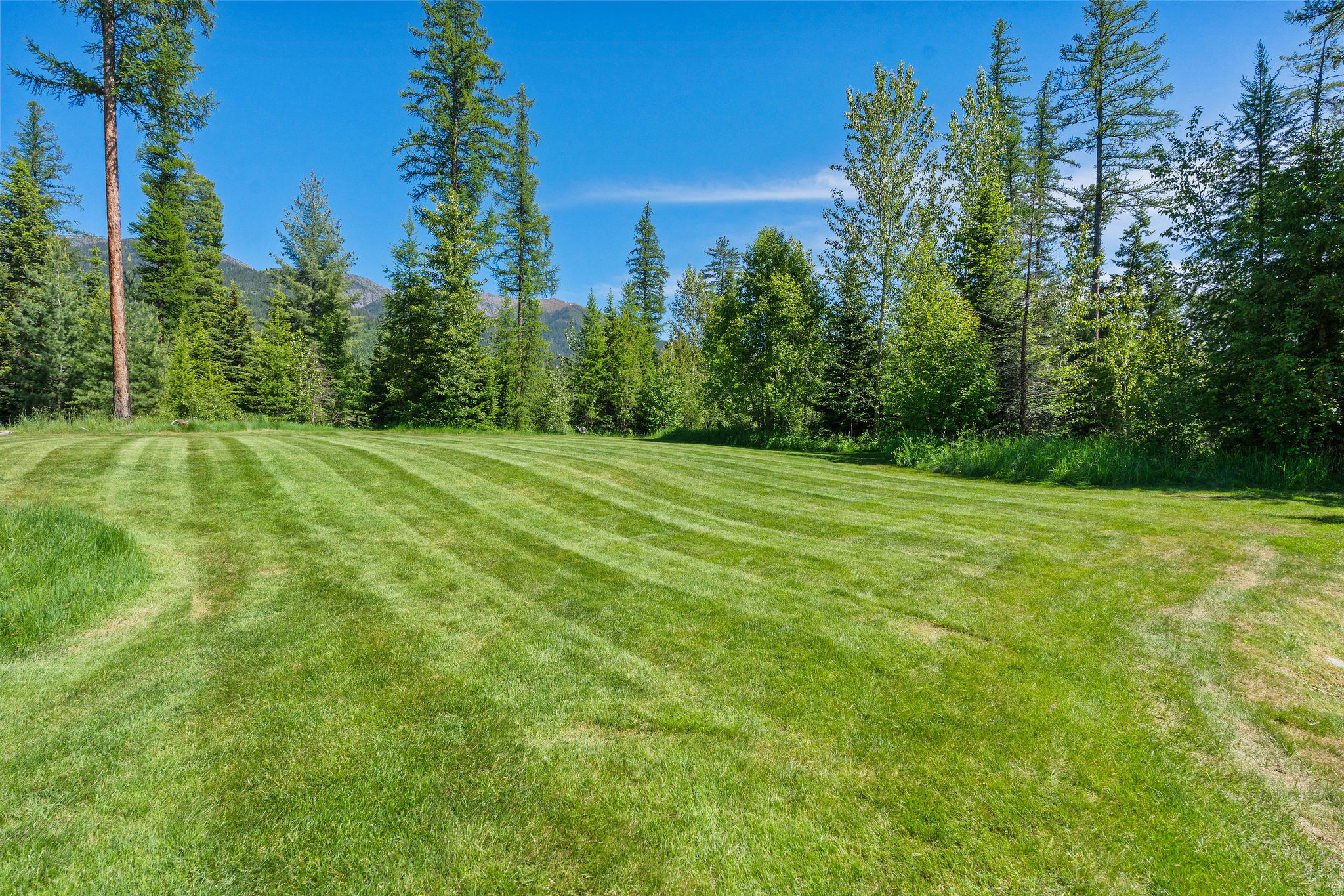 500 Wild Swan Trail Property Photo 110