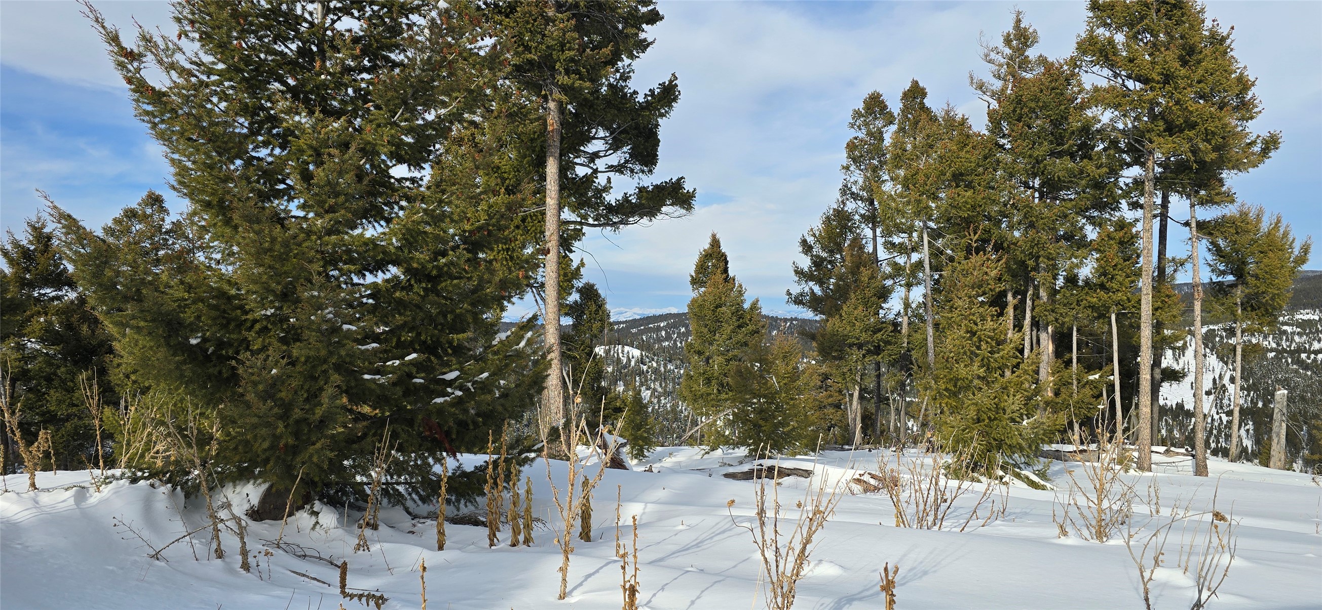 13 Tract, Garnet Range Property Photo 2