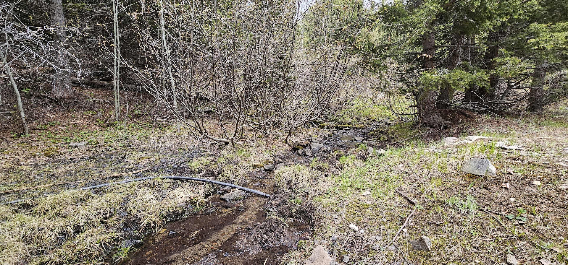 13 Tract, Garnet Range Property Photo 4